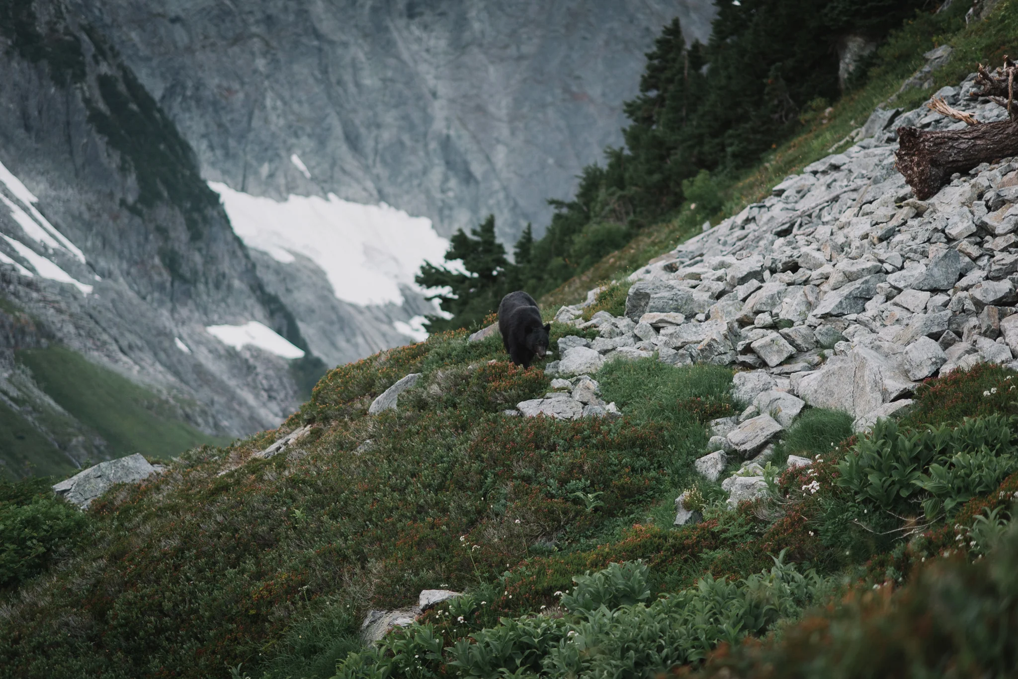 Sahale Arm Elopement In The North Cascades, Washington | Taylor & David