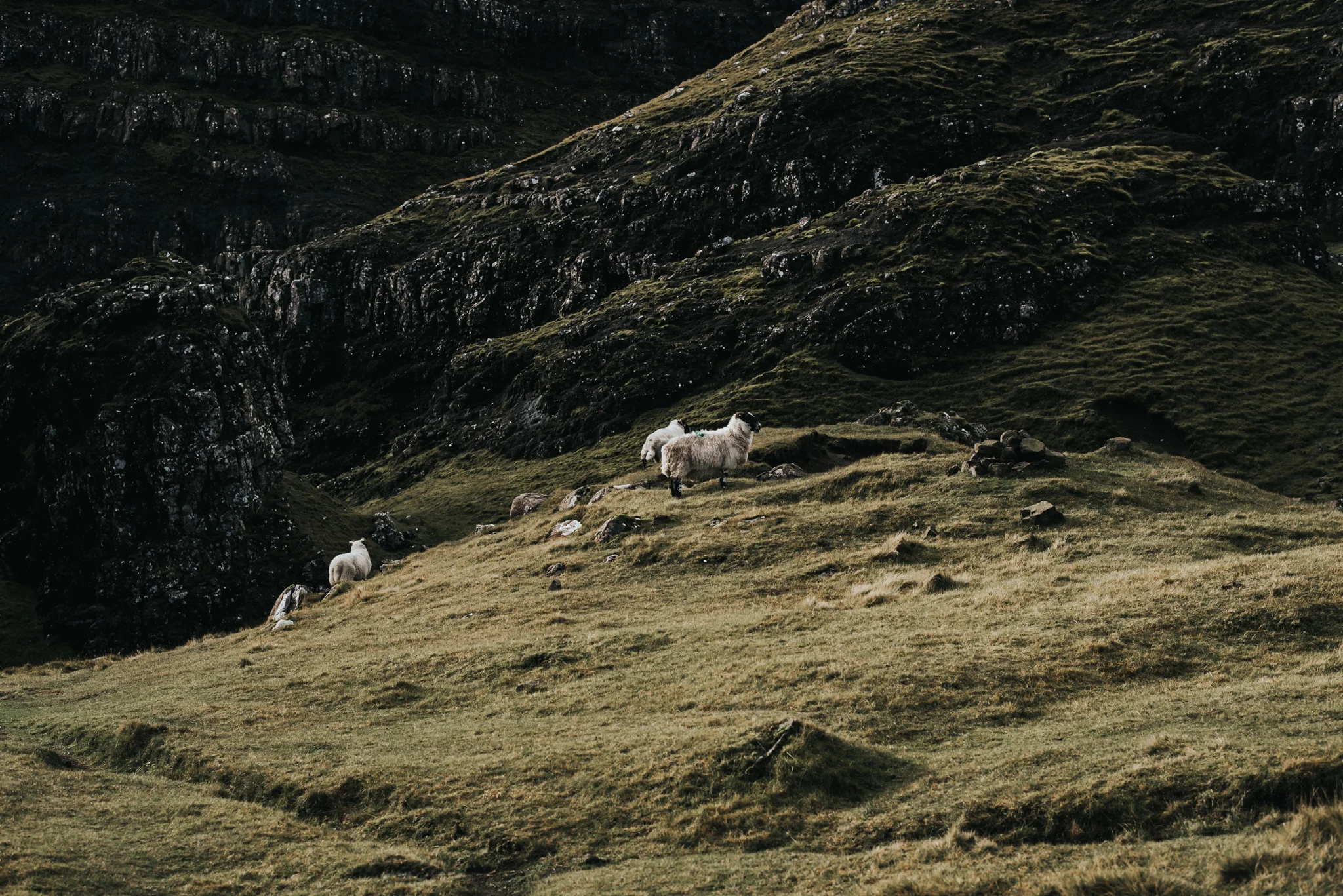 Eurotrip Camping Scotland and Isle Of Skye