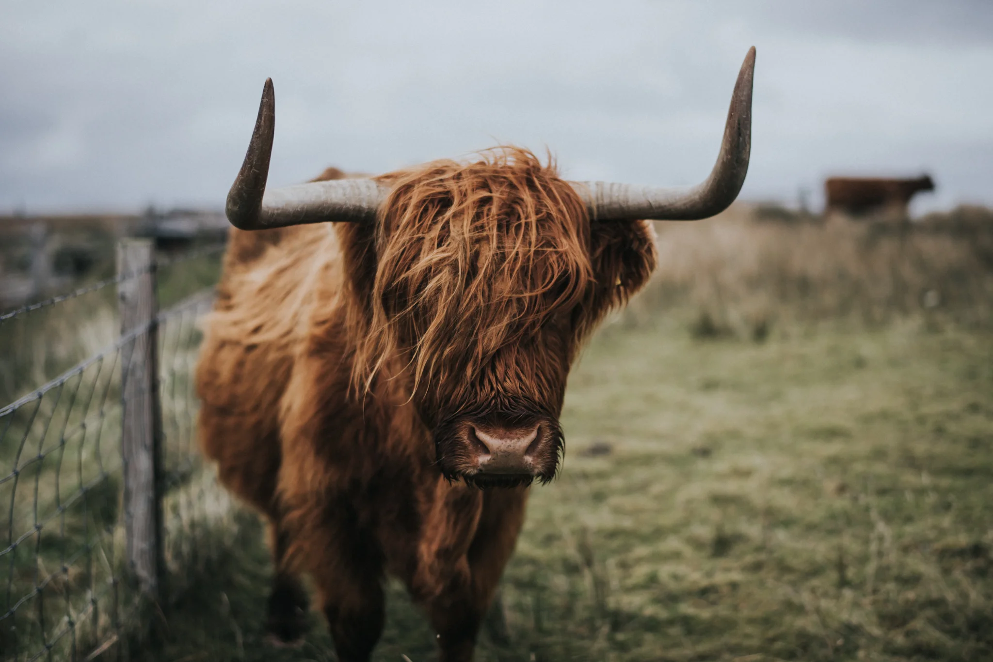 Eurotrip Camping Scotland and Isle Of Skye