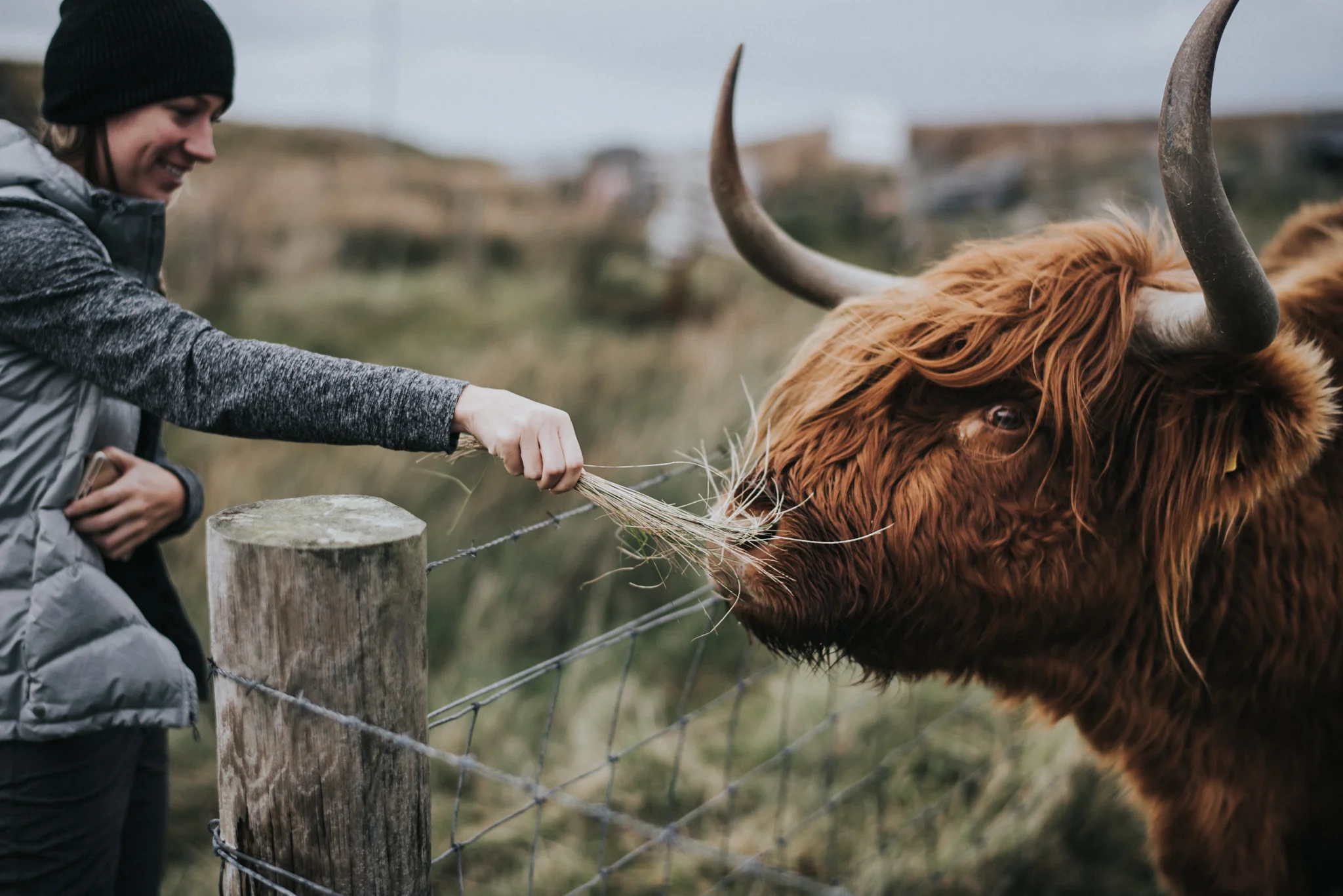 Eurotrip Camping Scotland and Isle Of Skye