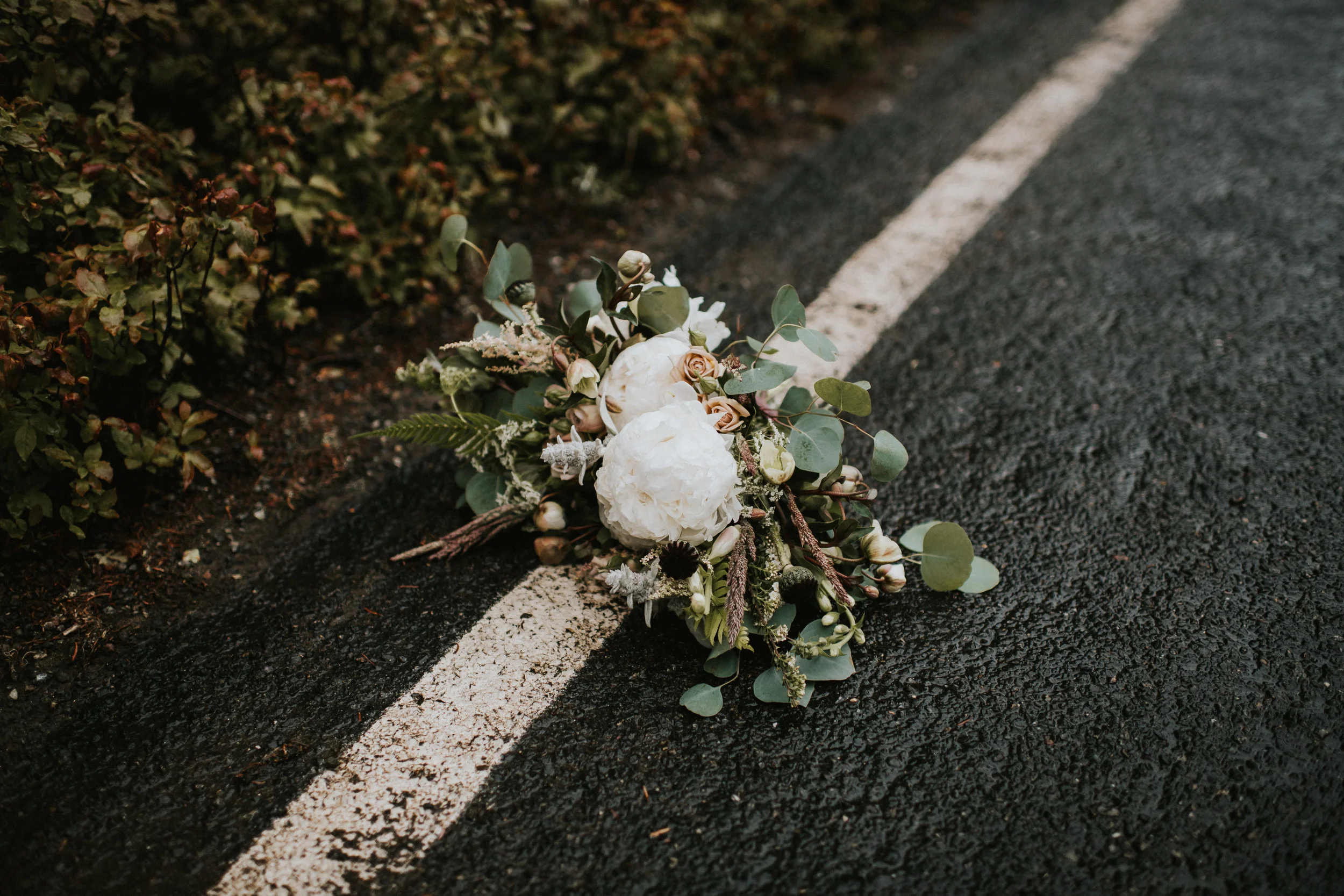 ELOPEMENT AT HURRICANE RIDGE WA | KRISTIN & ALEX
