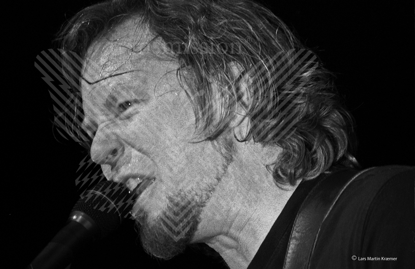 JAMES HETFIELD / METALLICA