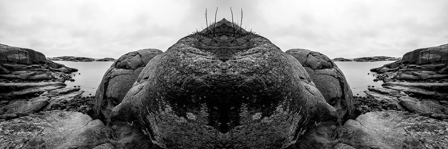 WALRUS ROCK