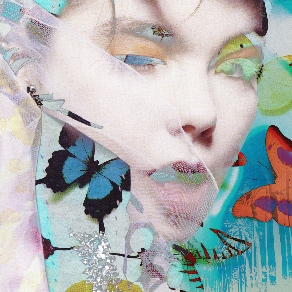 BJØRK BUTTERFLIES 1