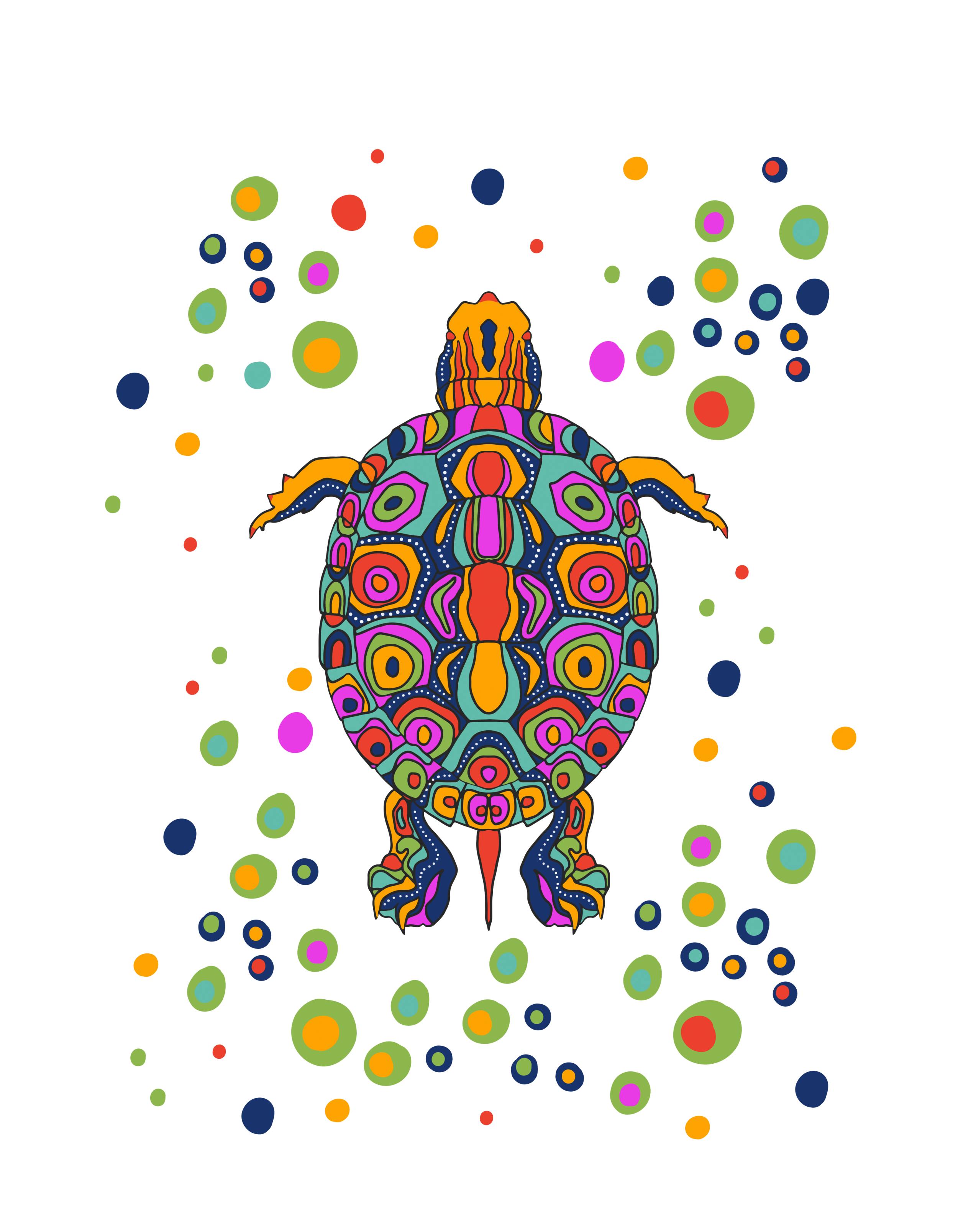 Turtle.png
