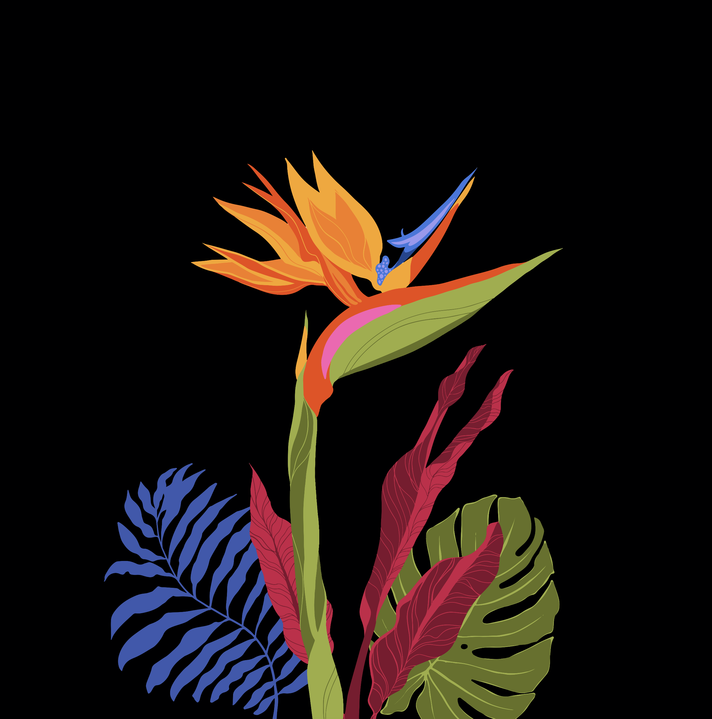 Screen Shot 2019-02-05 at 7.17.56 AM.png