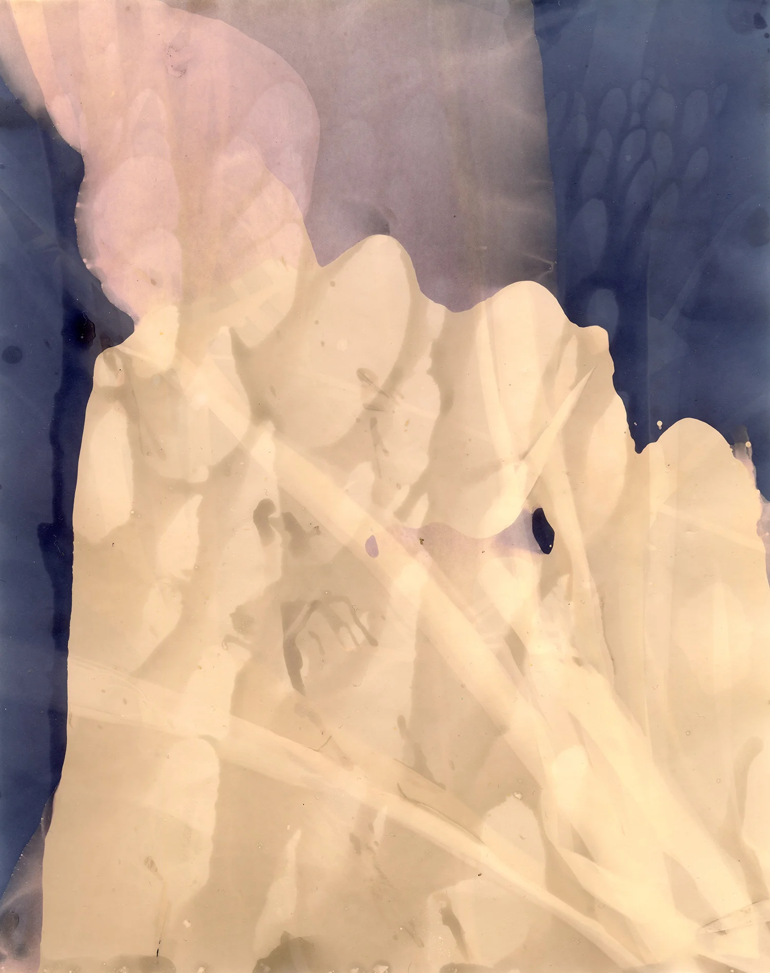 8x10_001.jpg