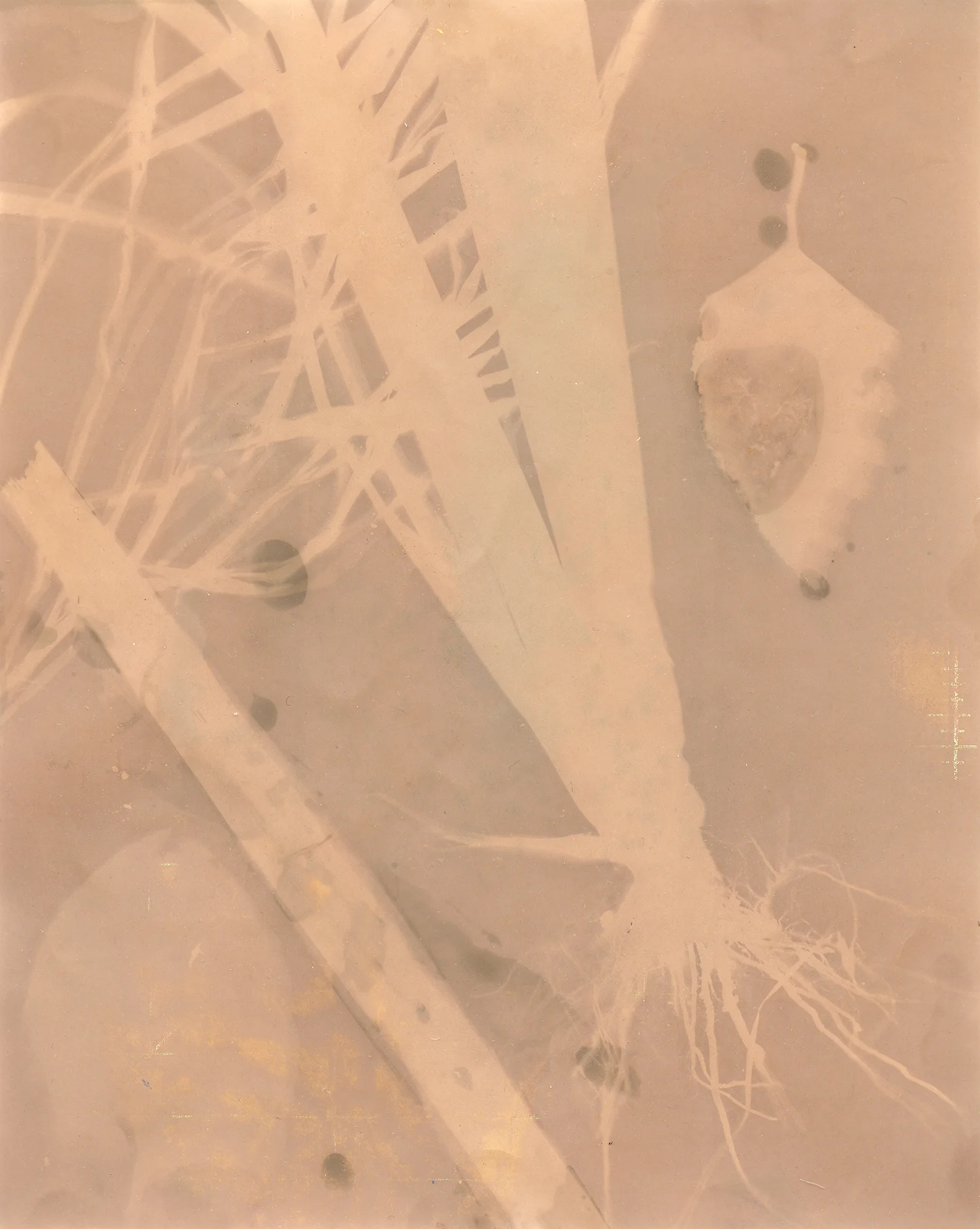8x10_004.jpg