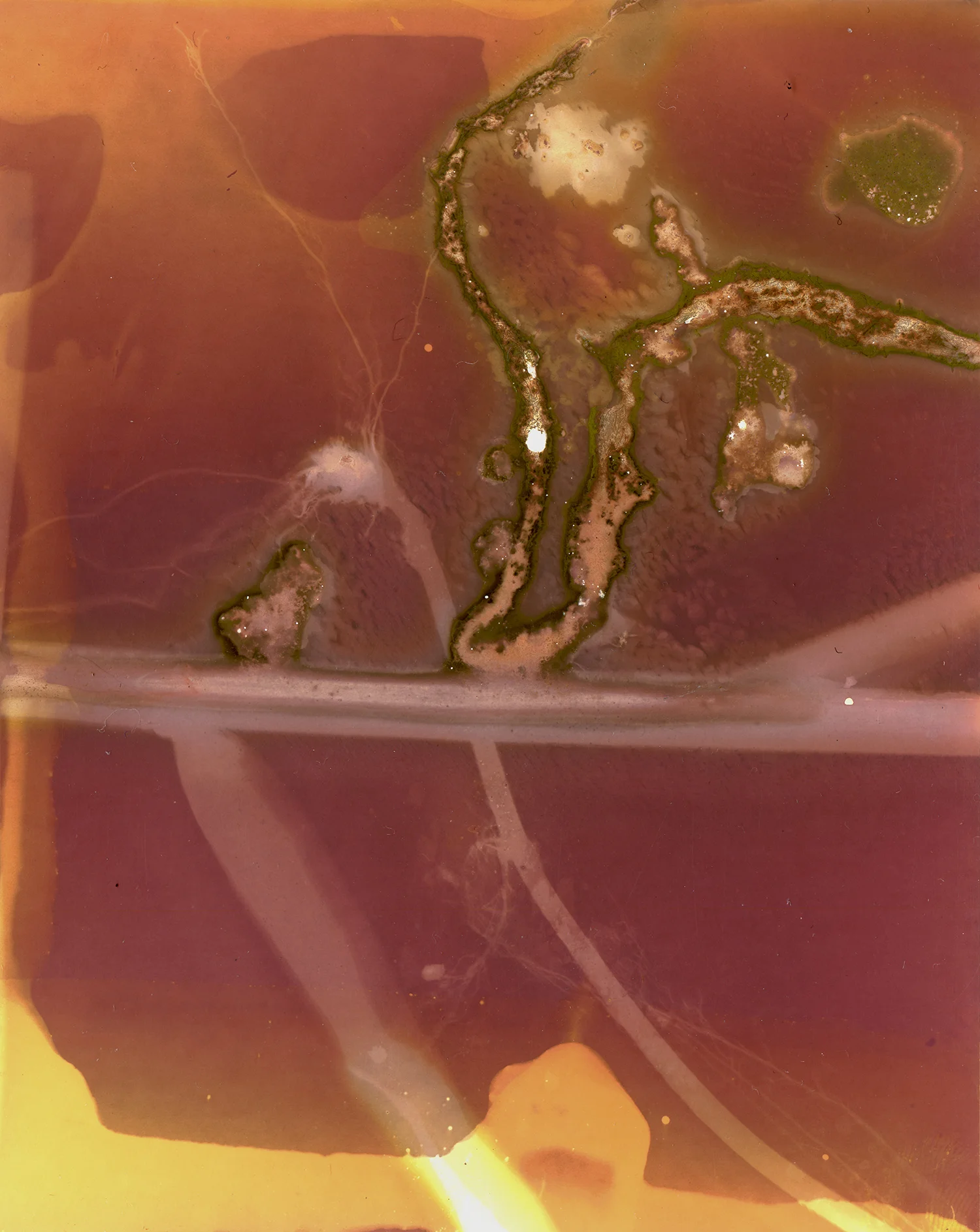 4x5_002.jpg