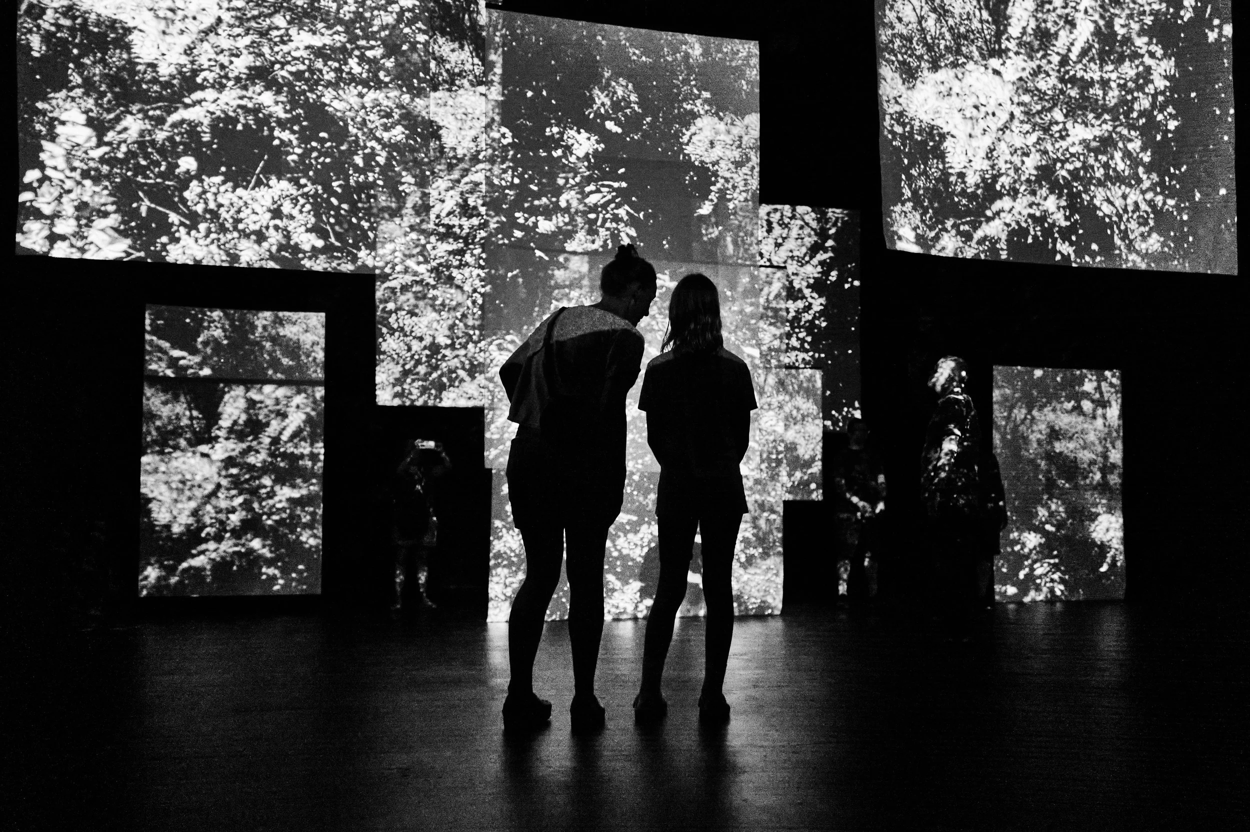  Photo Credit: Chris Ashworth/ Voxel 