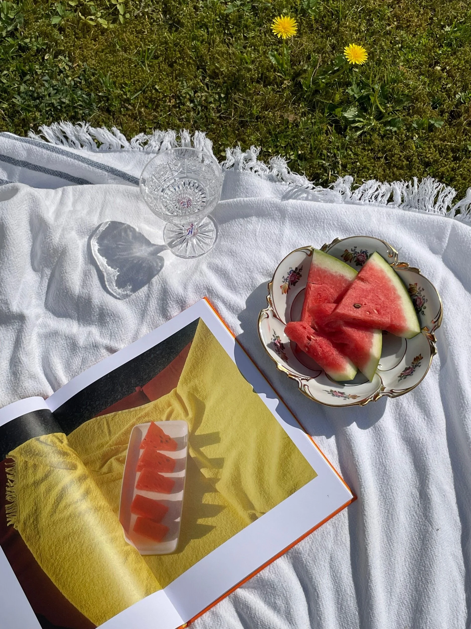 6B1BFE74-5E57-4F1E-AF5C-BB9F950E26D6