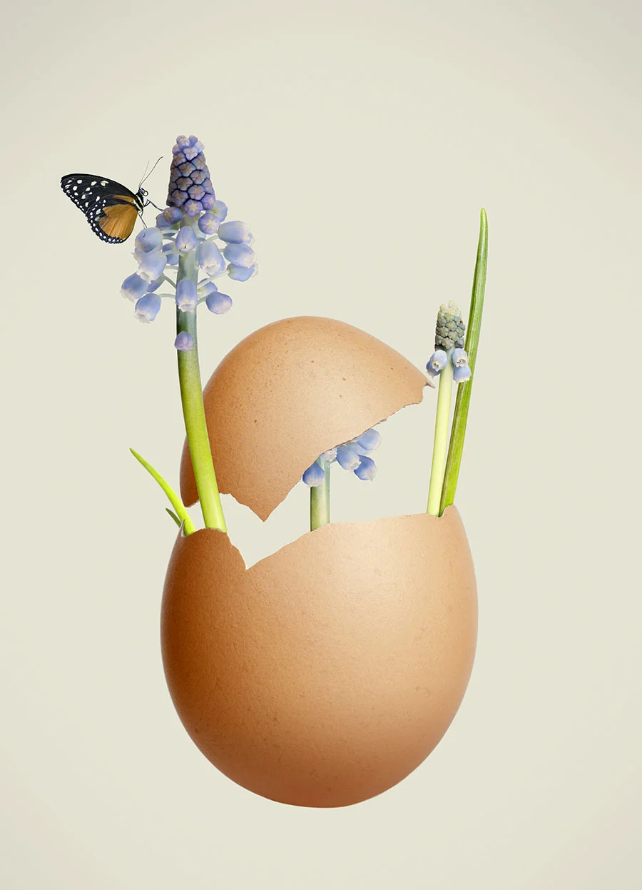 PS | Parool • lente