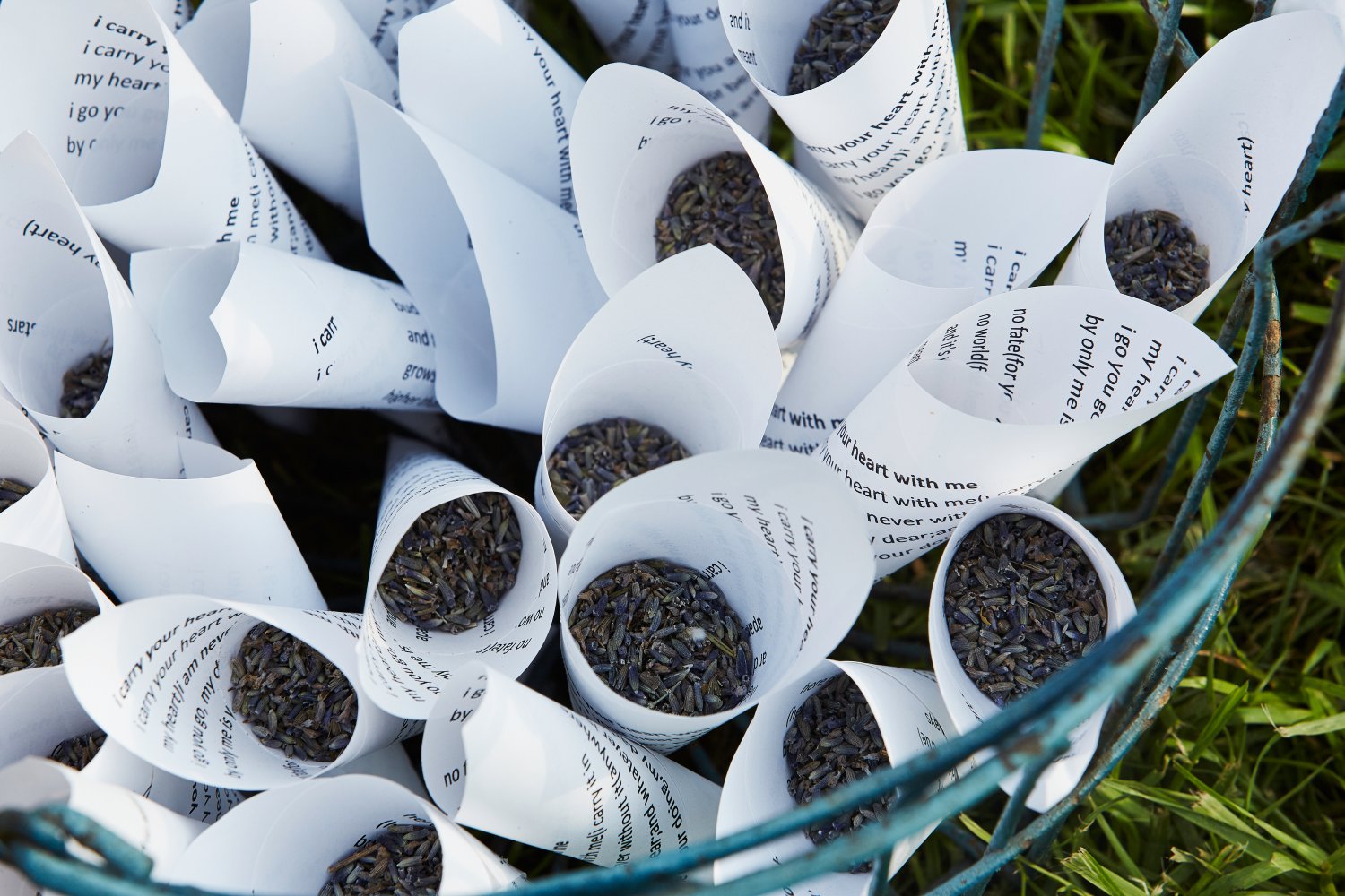 As a special surprise, I made cones printed with Rachel and Jared's favorite poem, i carry your heart by ee cummings and filled them with lavender for the toss.