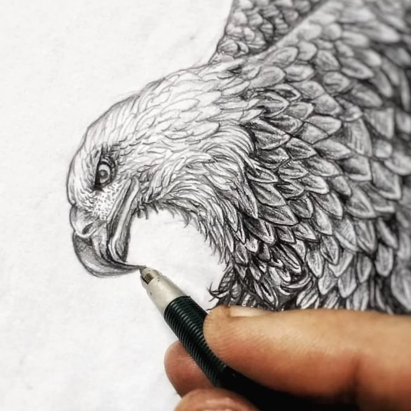 Original pencil sketch which I vectorised.