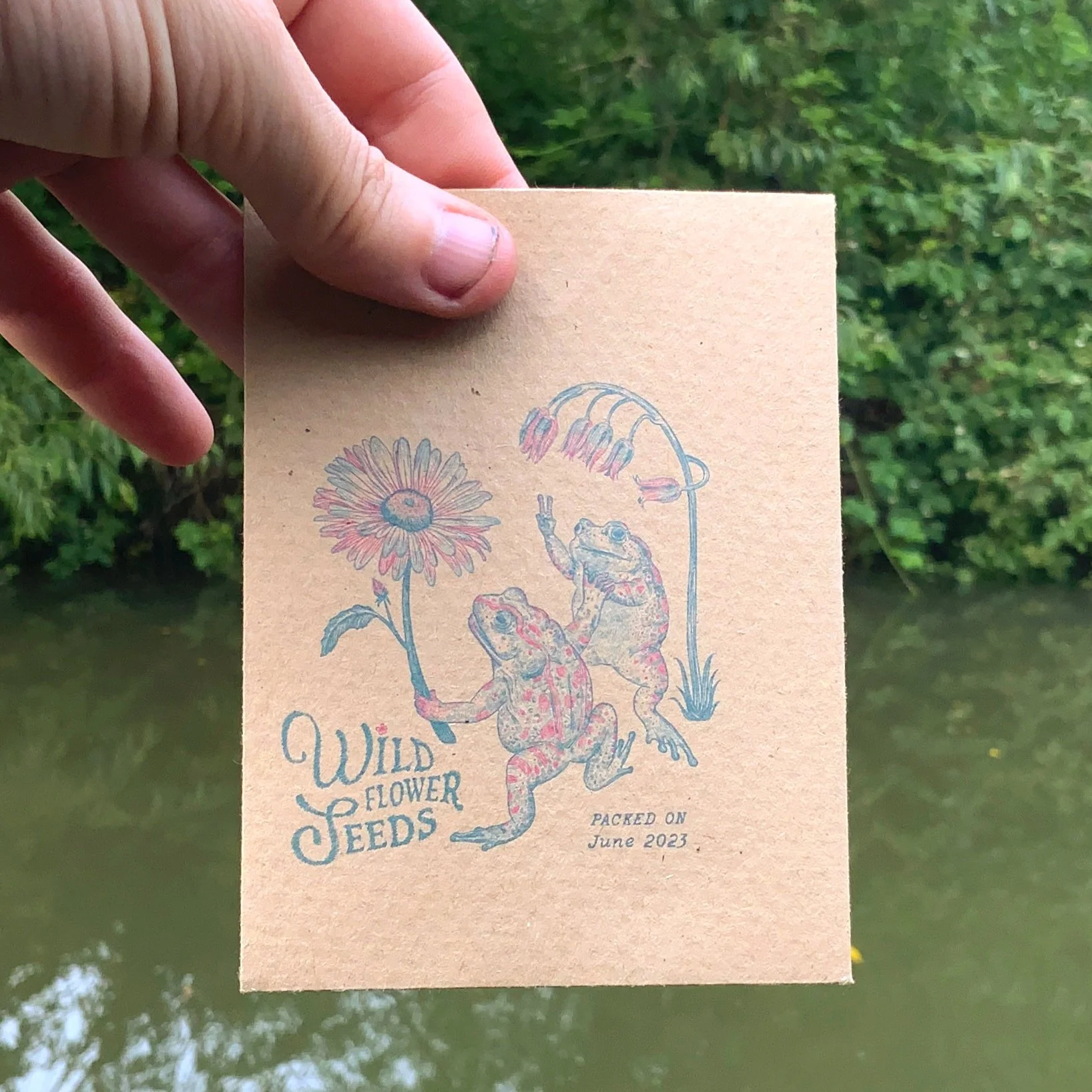 Seed packet illustration