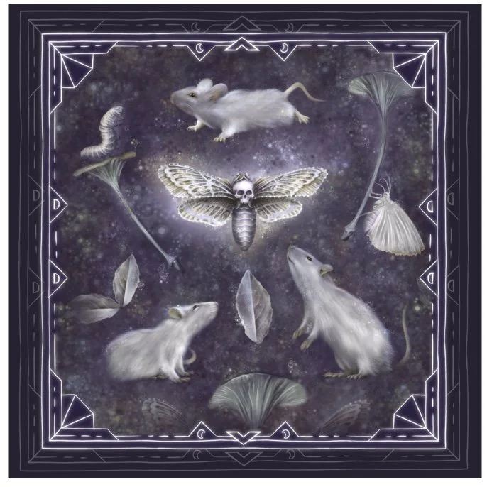 Fantasy illustration