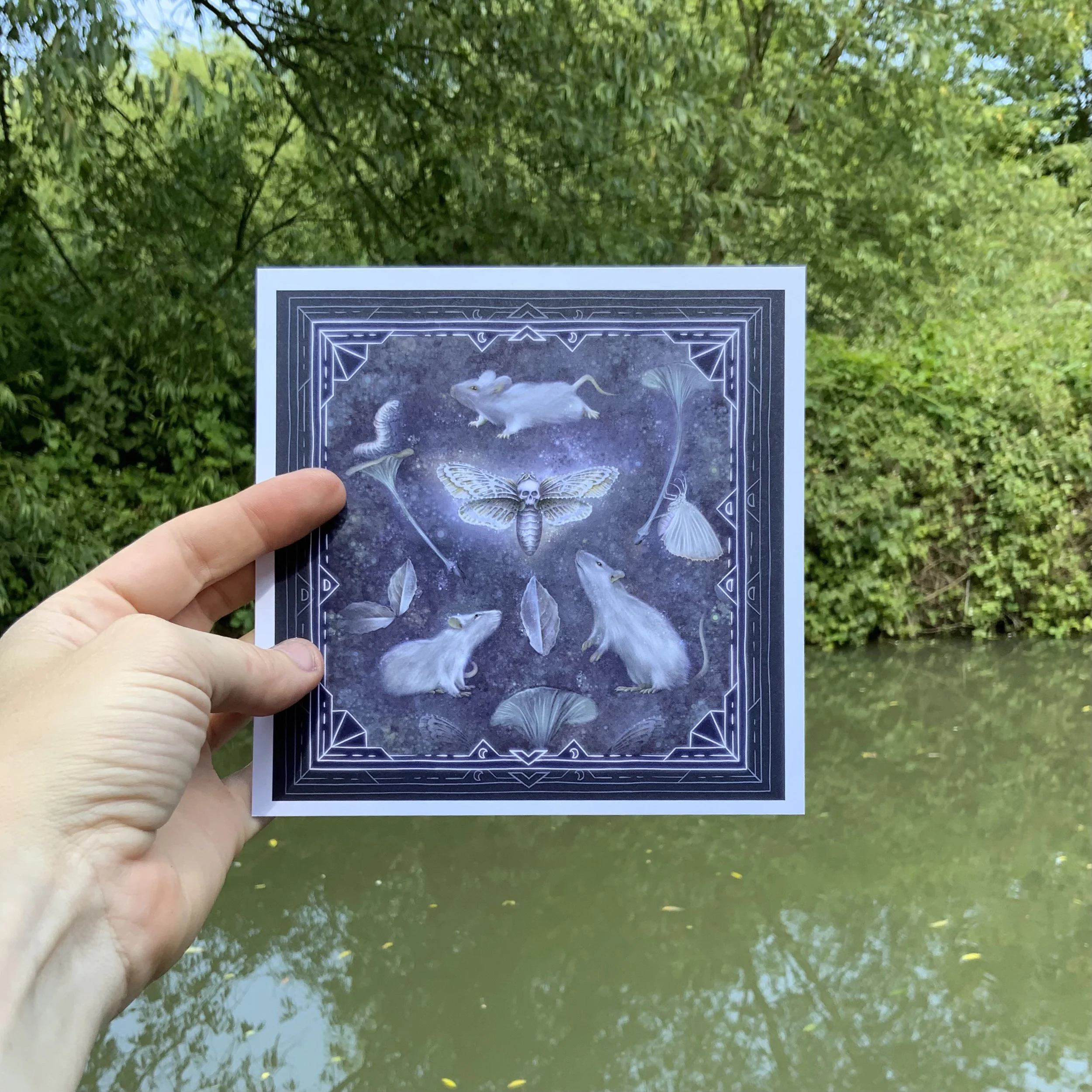 Moth mouse illustration