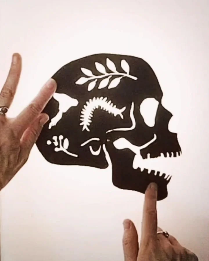 Just testing out my jaw hinge........and gobbling up an innocent Moorhen.
#intheshadows #shadowplay #shadowpuppet #crankieshow #crankietheatre