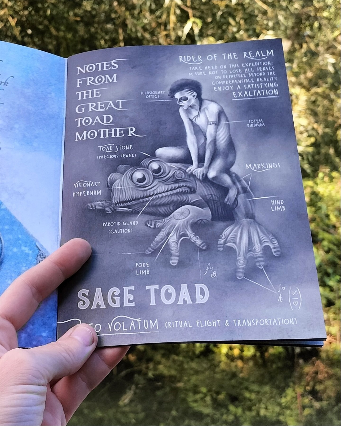 💀🐸Halloween vibes appear to be rife all year round in my art&hellip;..🖤

Here&rsquo;s is a page from a zine I began compiling, made up of my more peculiar illustrations, journal notes and sketches from earlier this year, to form a sort of supernat