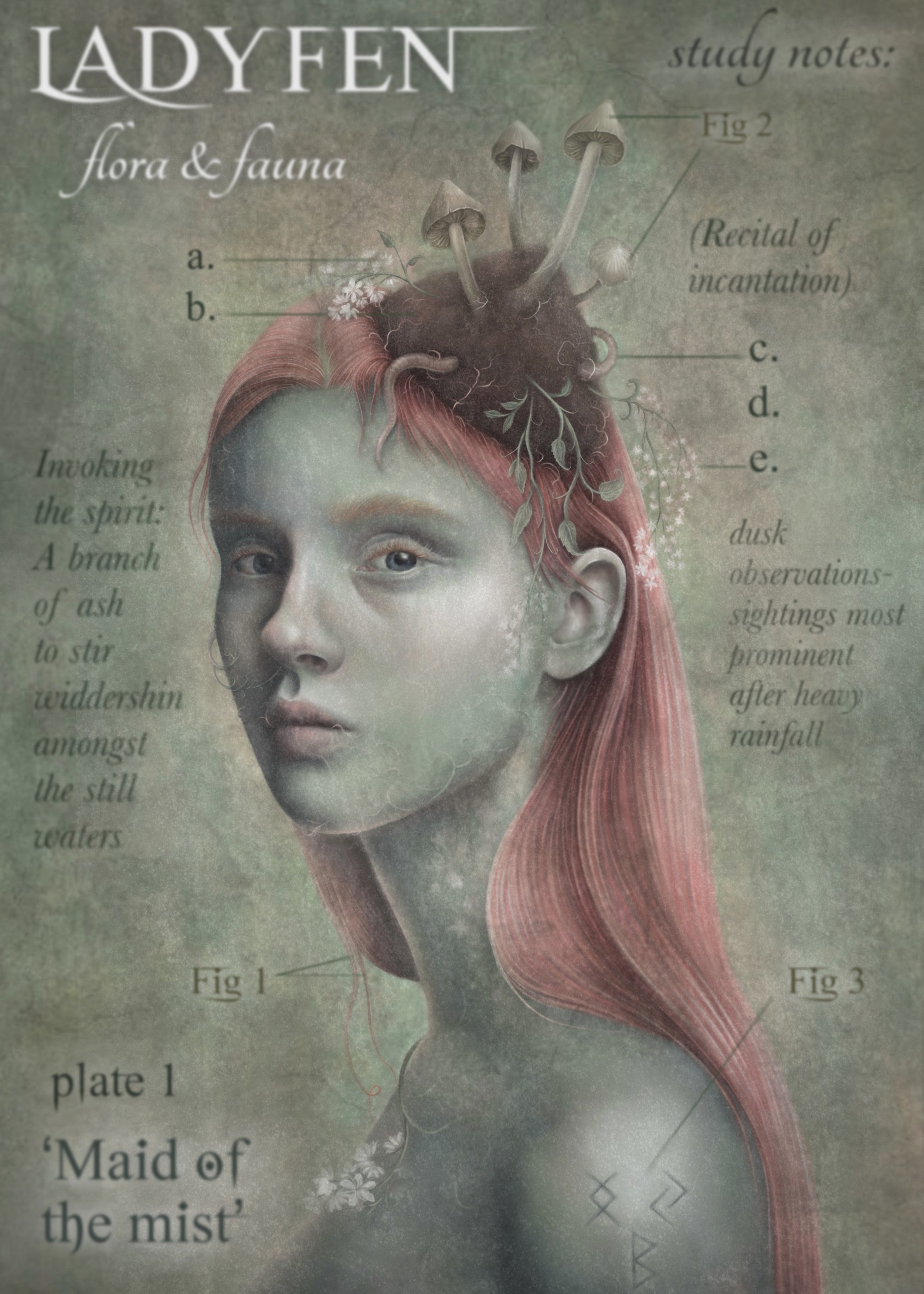 LADY FEN  ZINE ILLUSTRATION