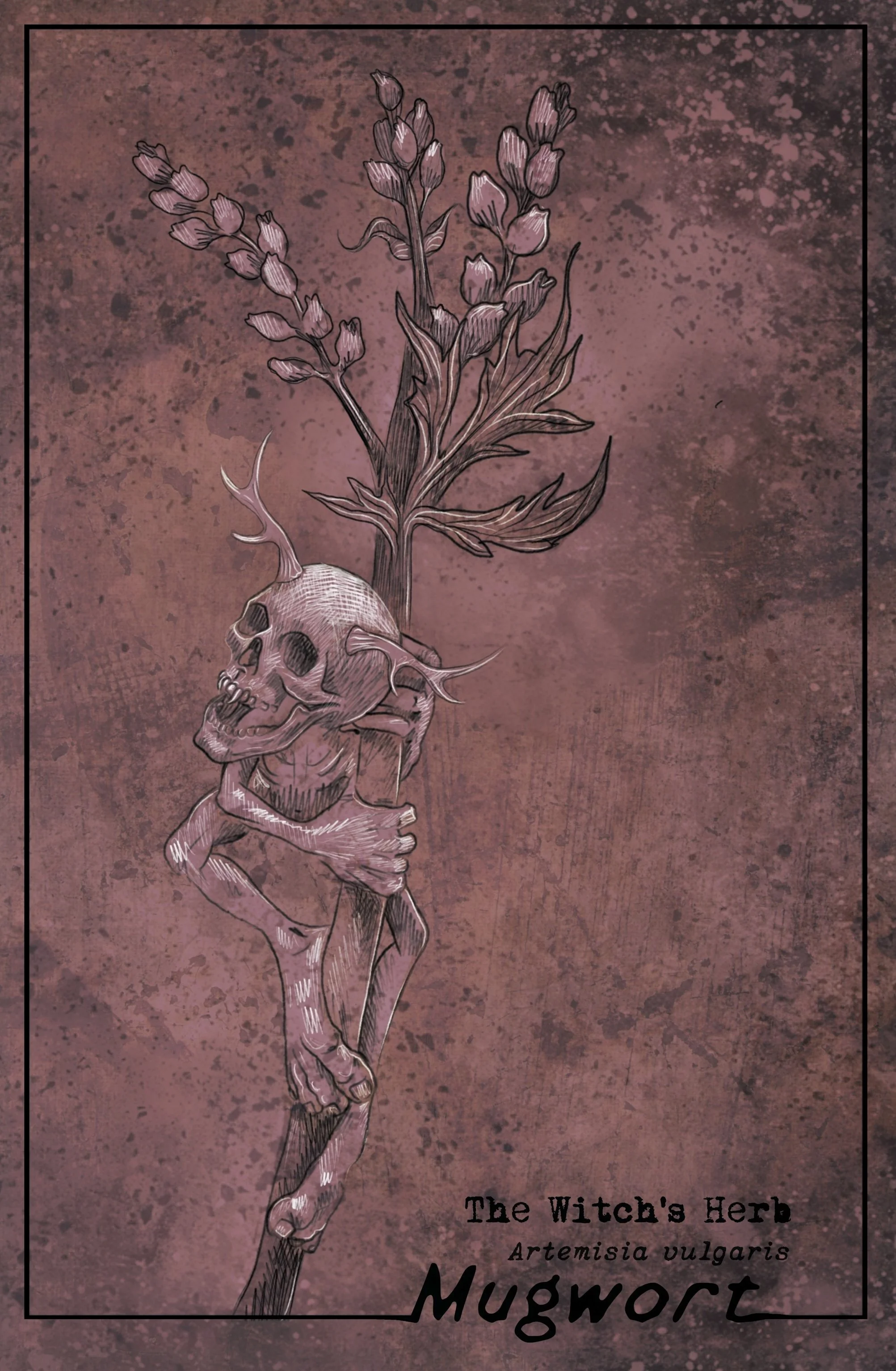 THE WITCH'S HERB LEBOTANY POSTCARD ILLUSTRATION