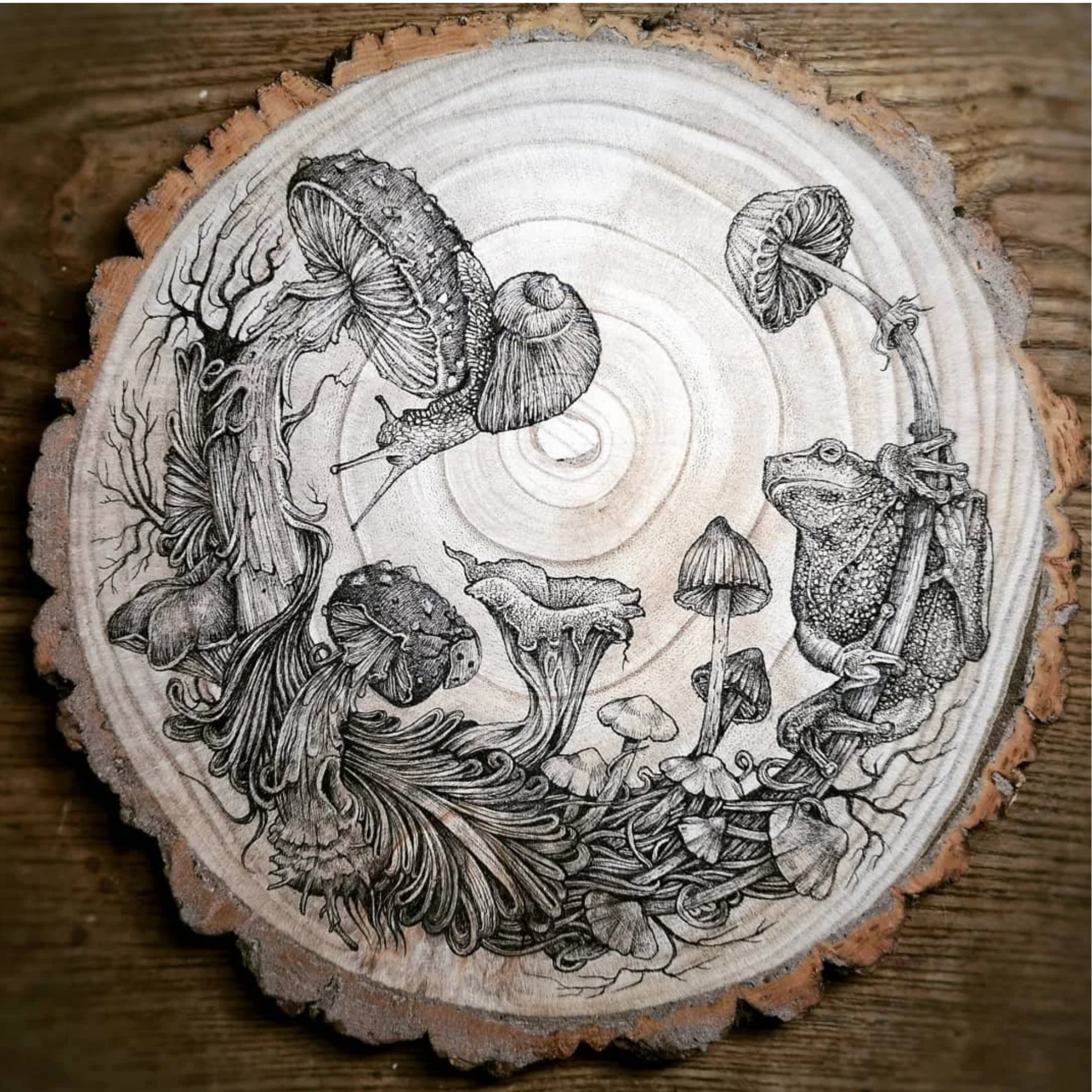 ‘Frog and Fungi’ Wood slice commission