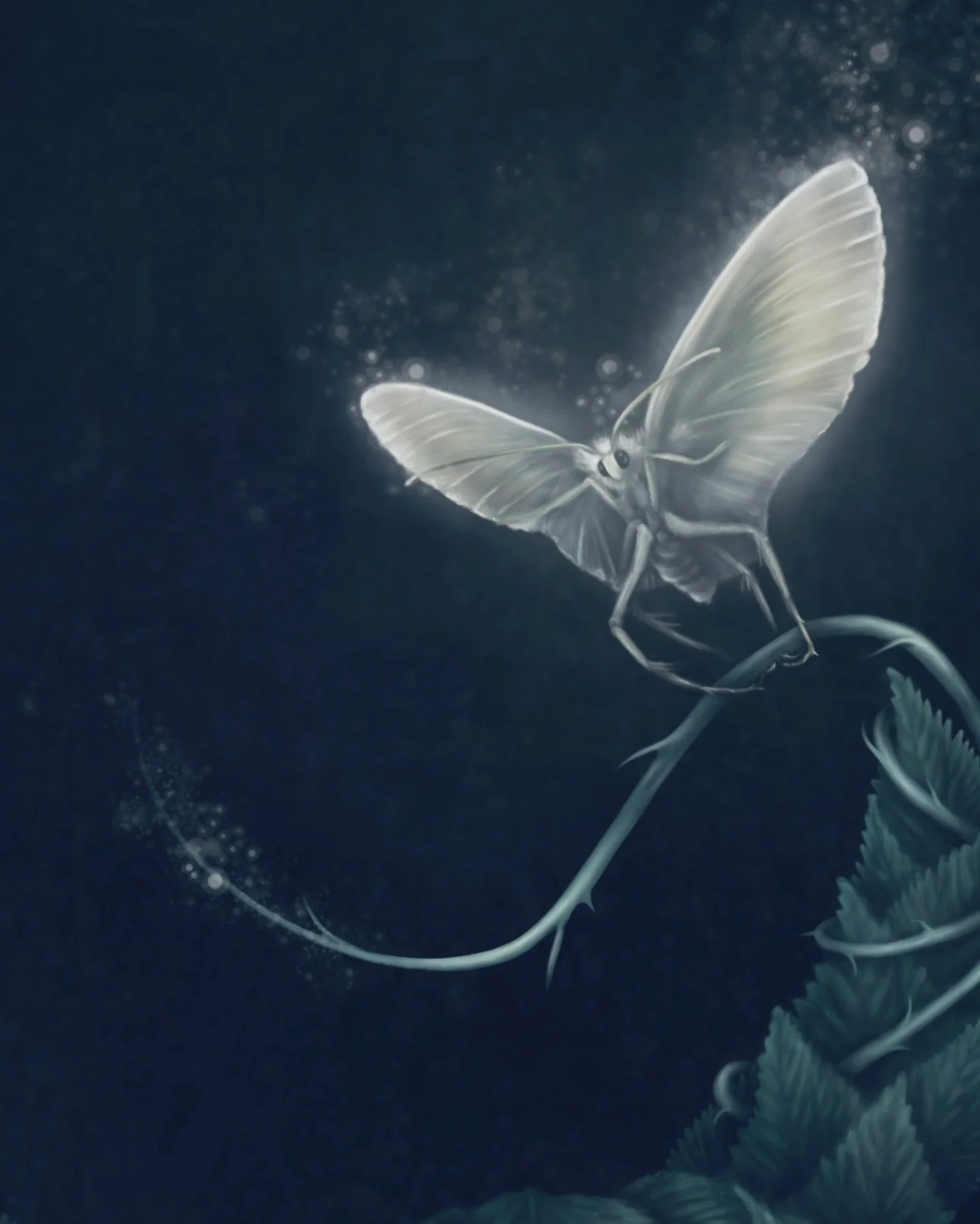 Sol Invictus! Happiest of birthdays to the sun, and merry Christmas/yule/saturnalia&hellip;&hellip;.to all! Some new illustration work, been a hot minute since I drew a mother of pearl moth and a devil bonnet made of stinging nettles&hellip;..this on