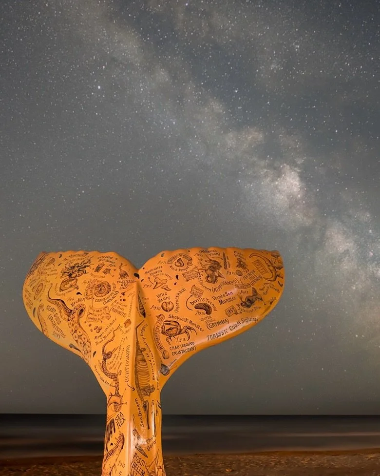 💫Fossil Fables beneath ancient stars&hellip;..💫

A very decent excuse to share some lovely memories from @greattailtrail last year down in Dorset.

How magical is this photograph of my mermaid tail &lsquo;Fossil Fables&rsquo; beneath an epic blanke