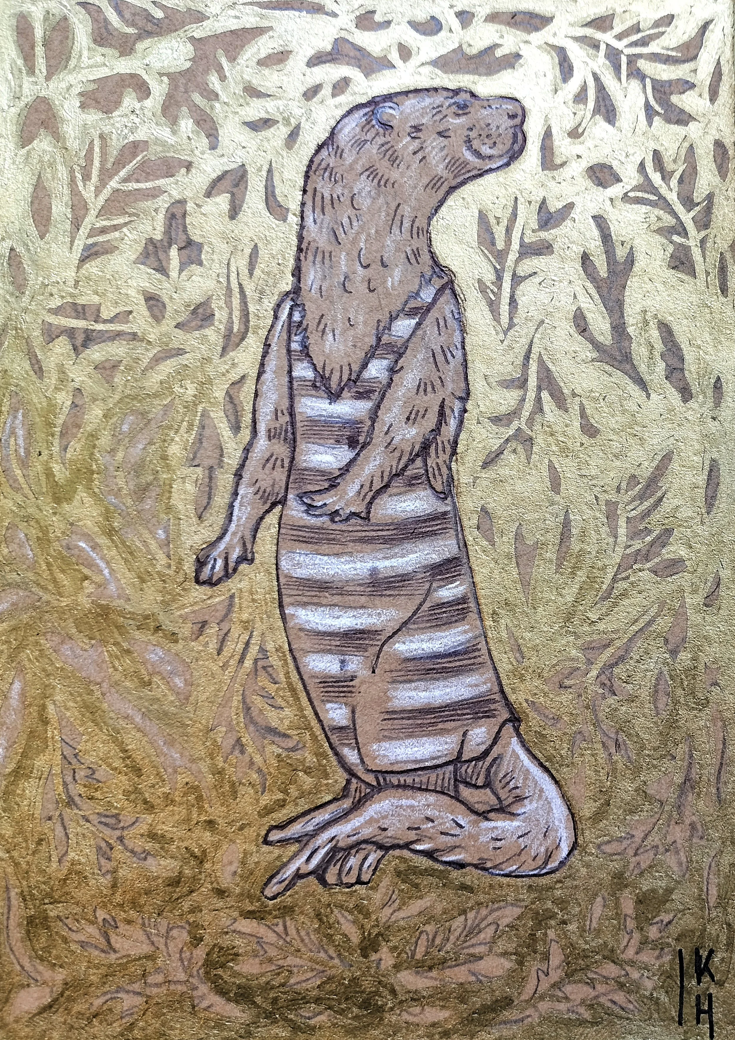 Wild Swimmer