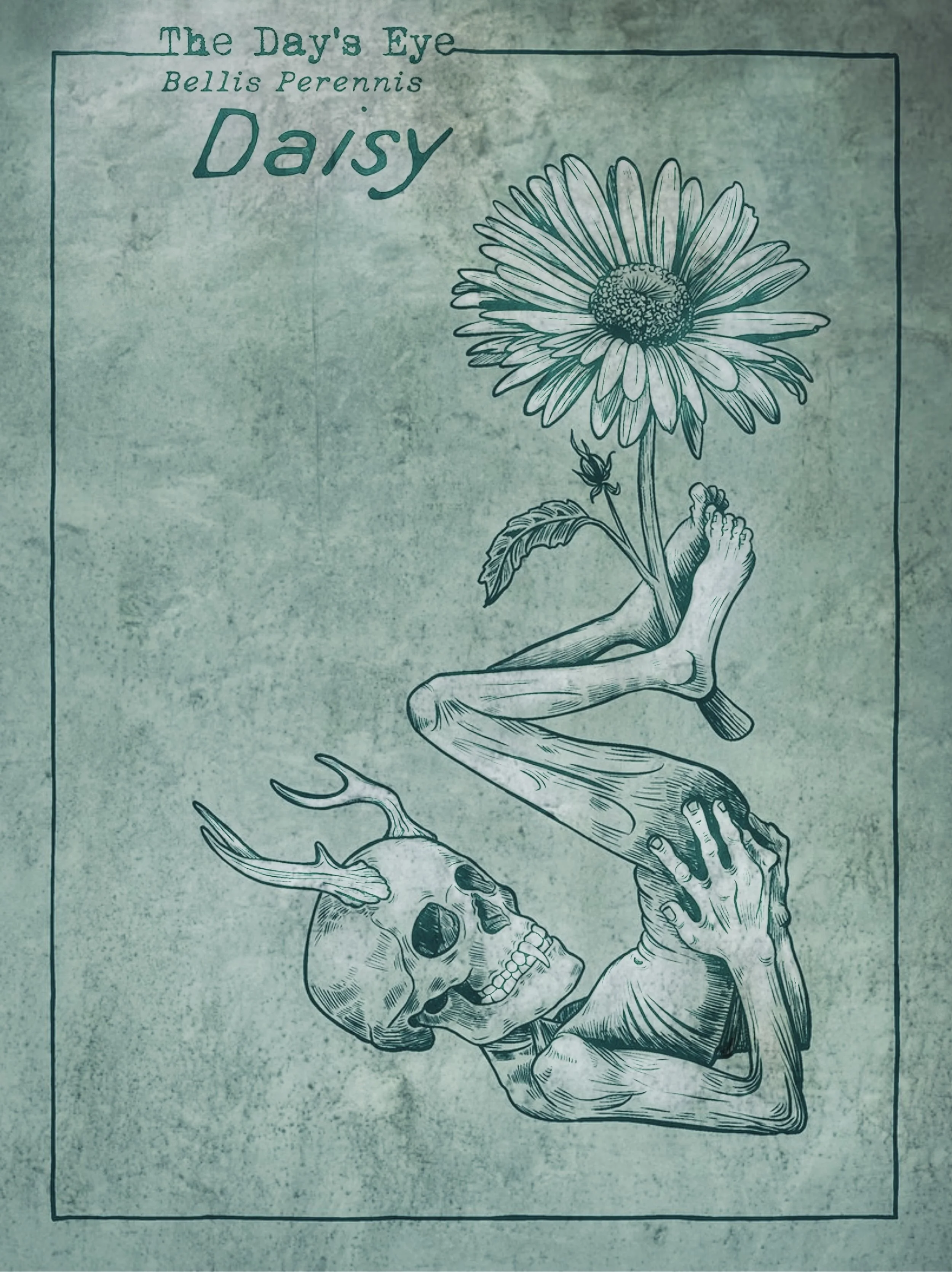 Garden Guardians illustration 