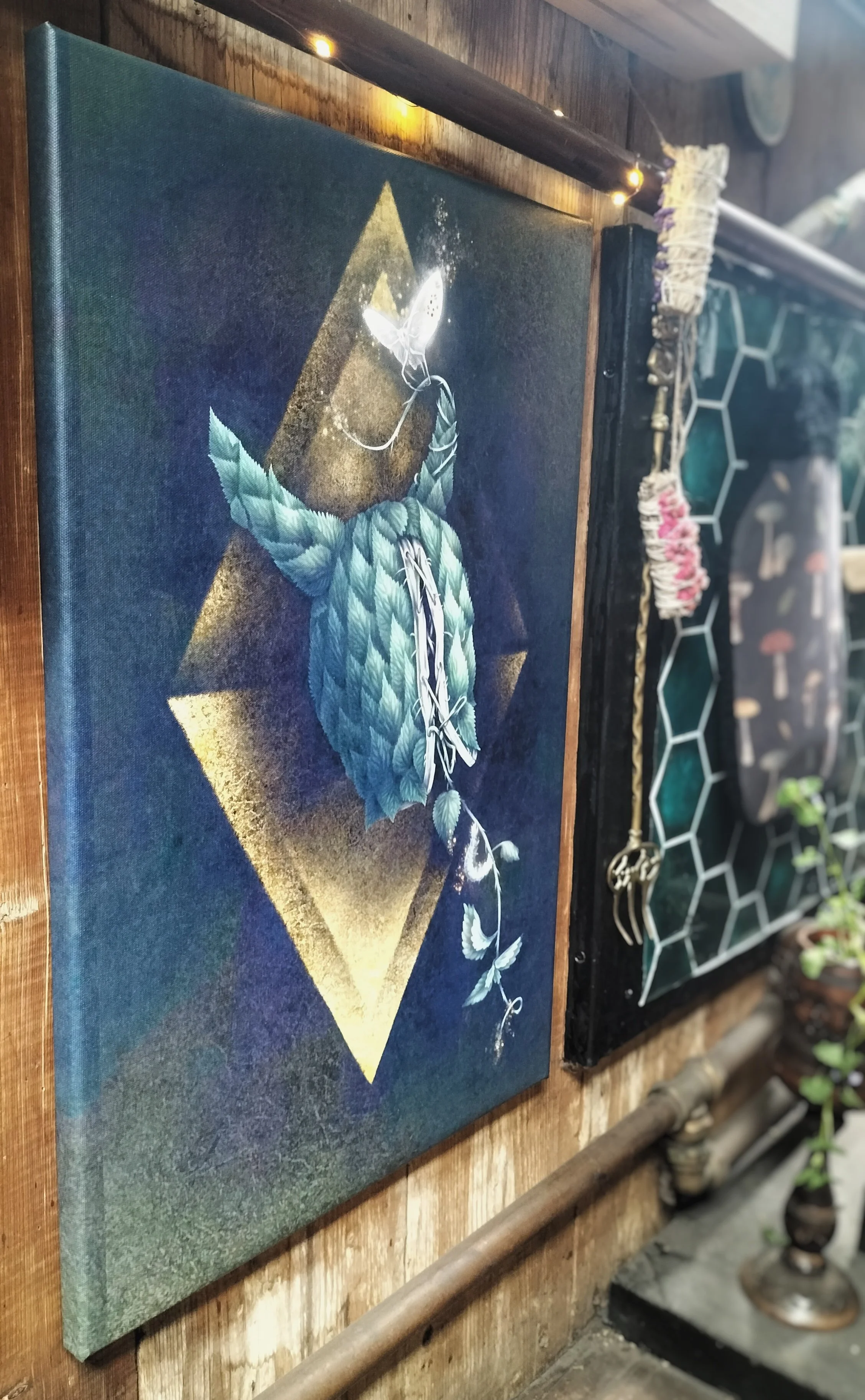 IMG_7527.jpeg