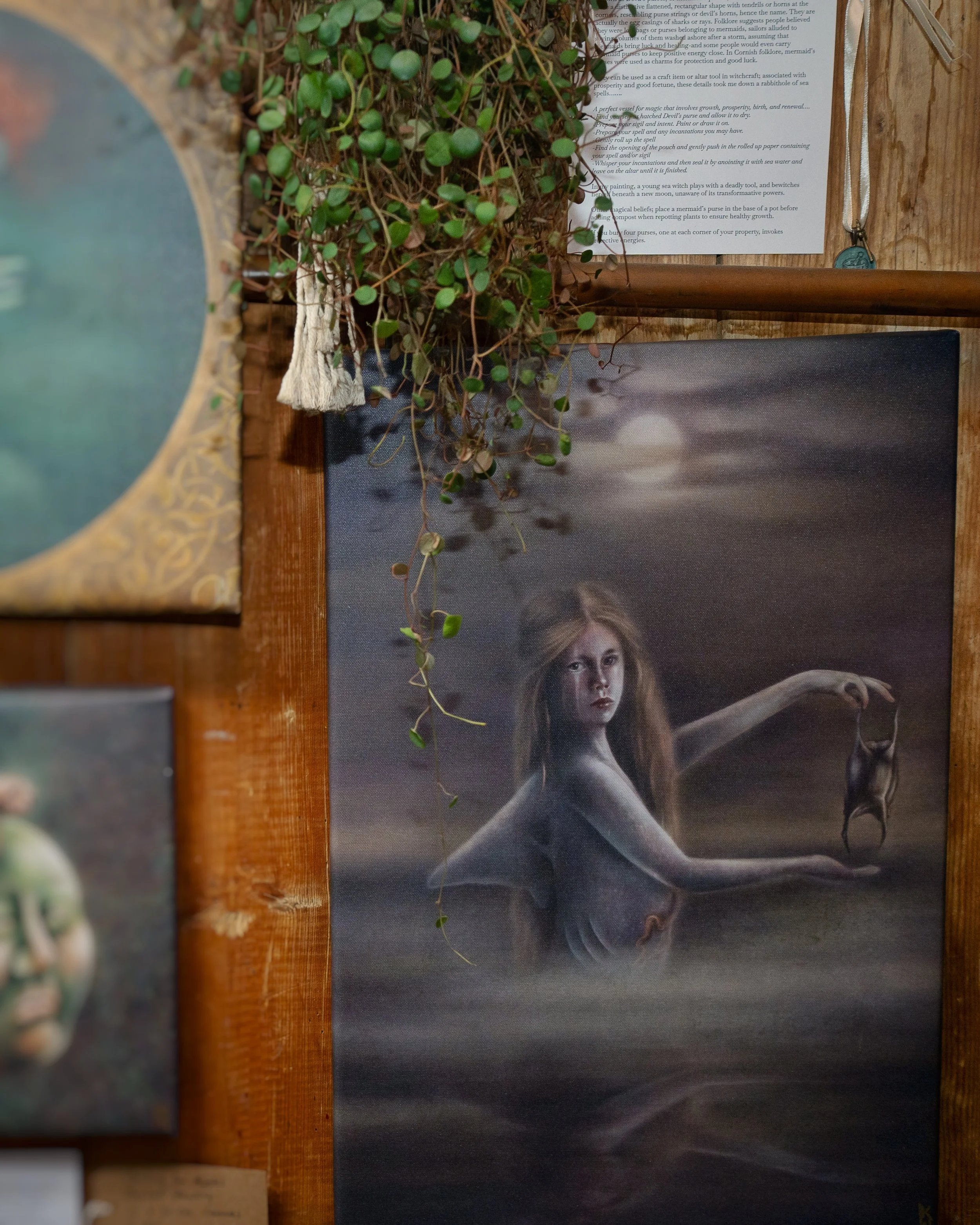 IMG_2446.jpeg