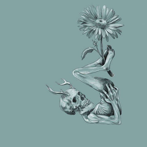 Seed to snag……surreal animation