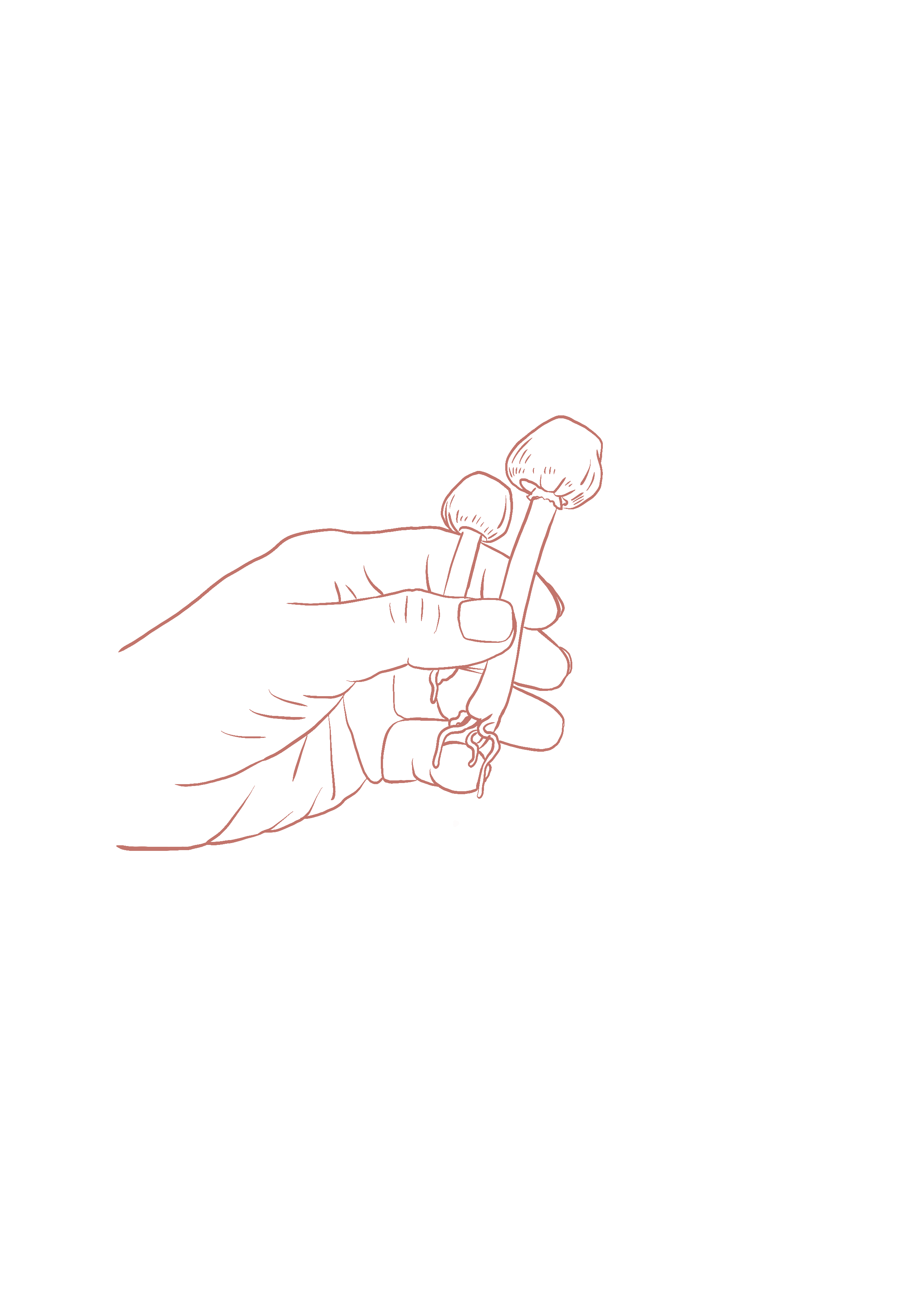 IMG_7741.png