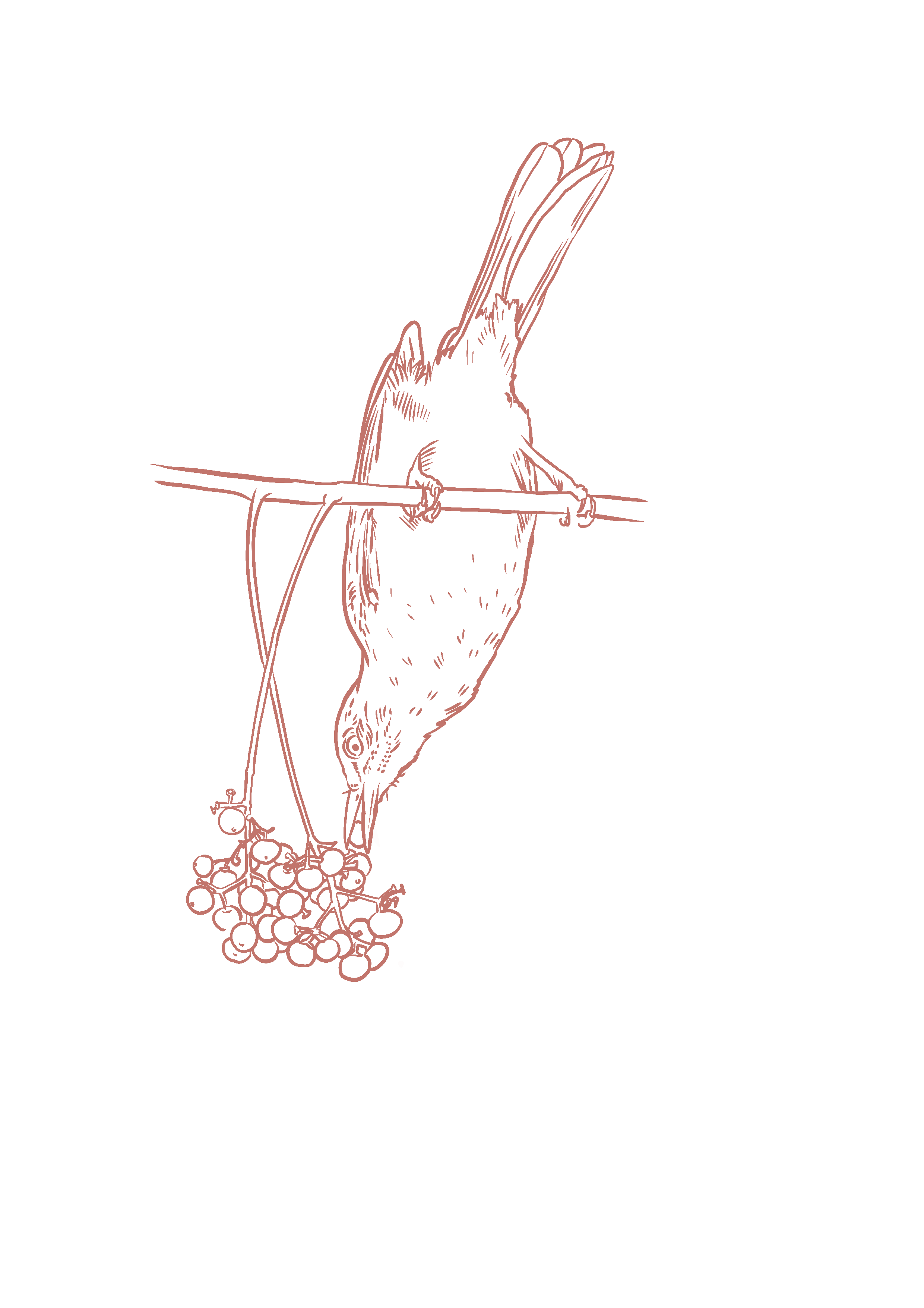 IMG_7734.png