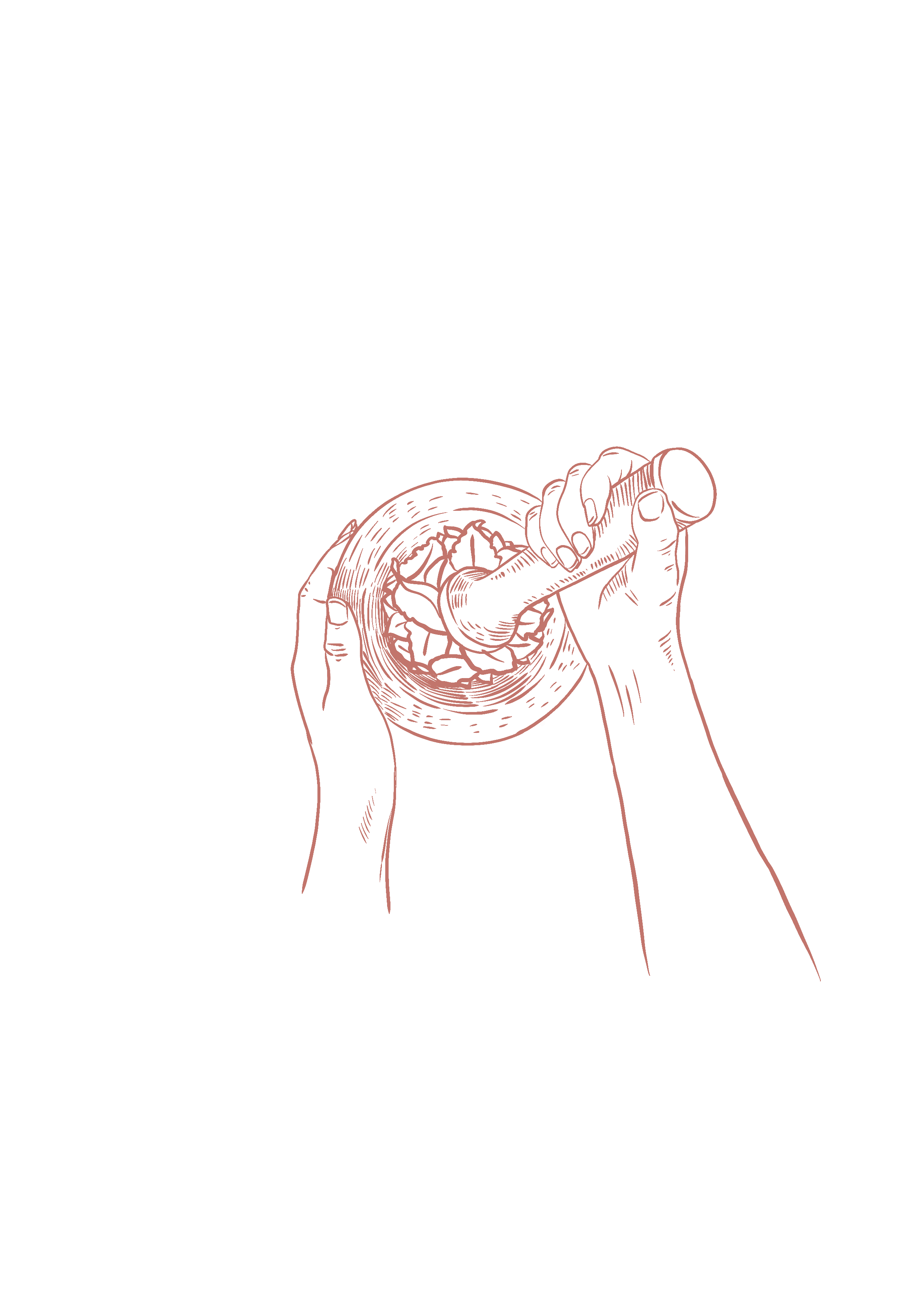 IMG_7737.png