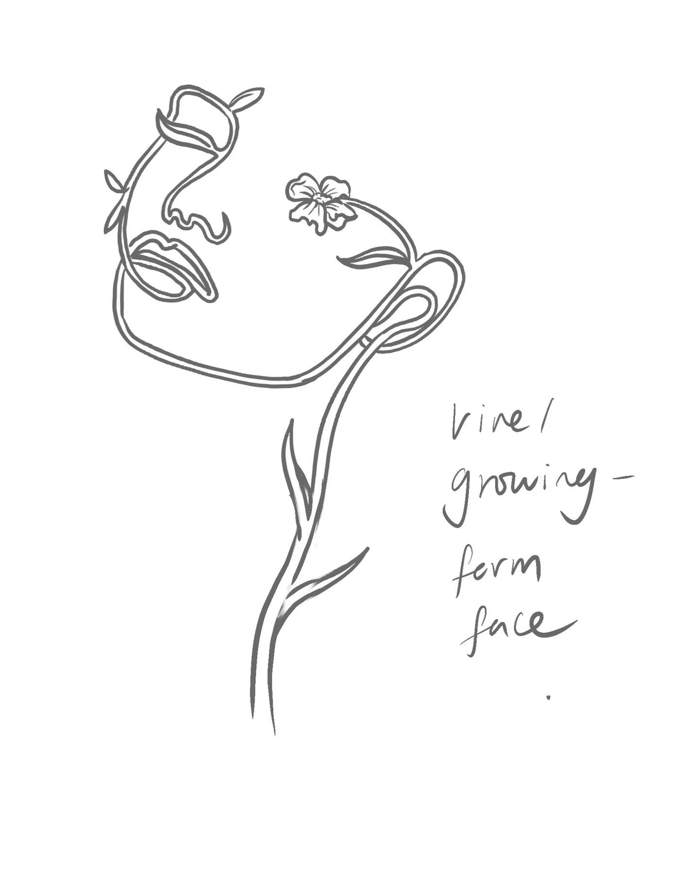 IMG_8348.jpeg