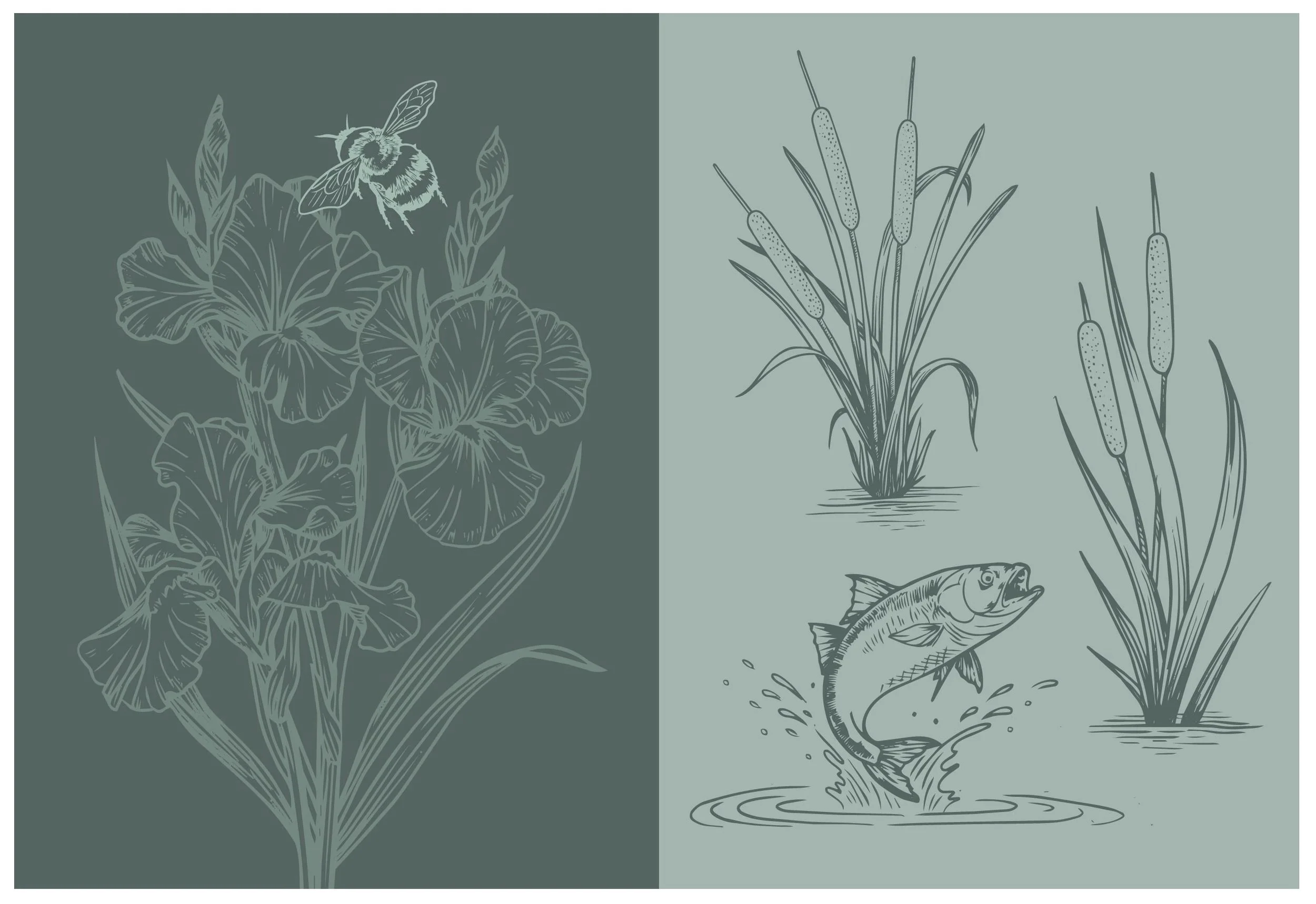 Three Idle Women Website Illustration Elements