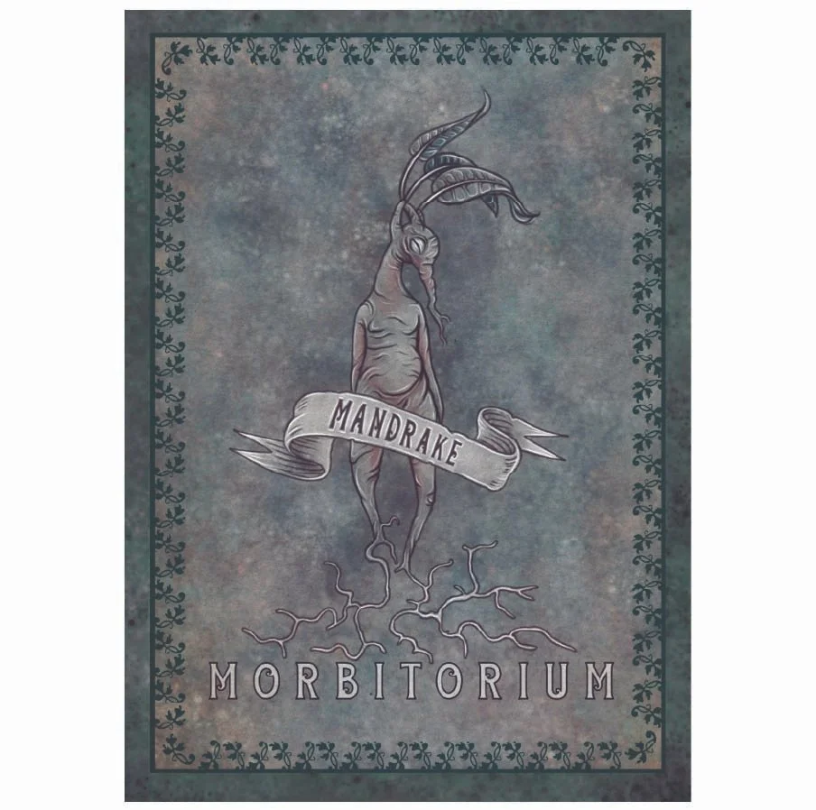 card prints 2025 2-03-15.jpg