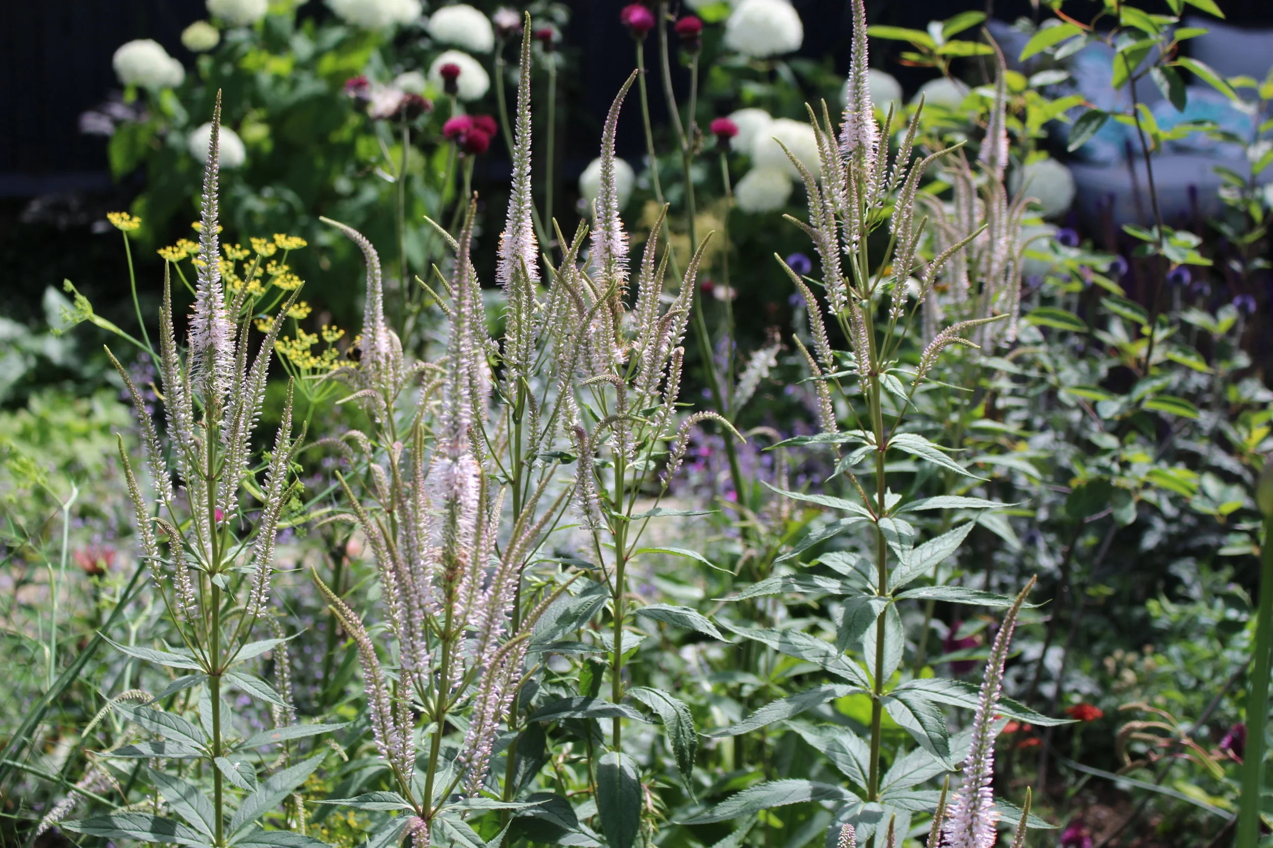 Jen Berry Garden Design