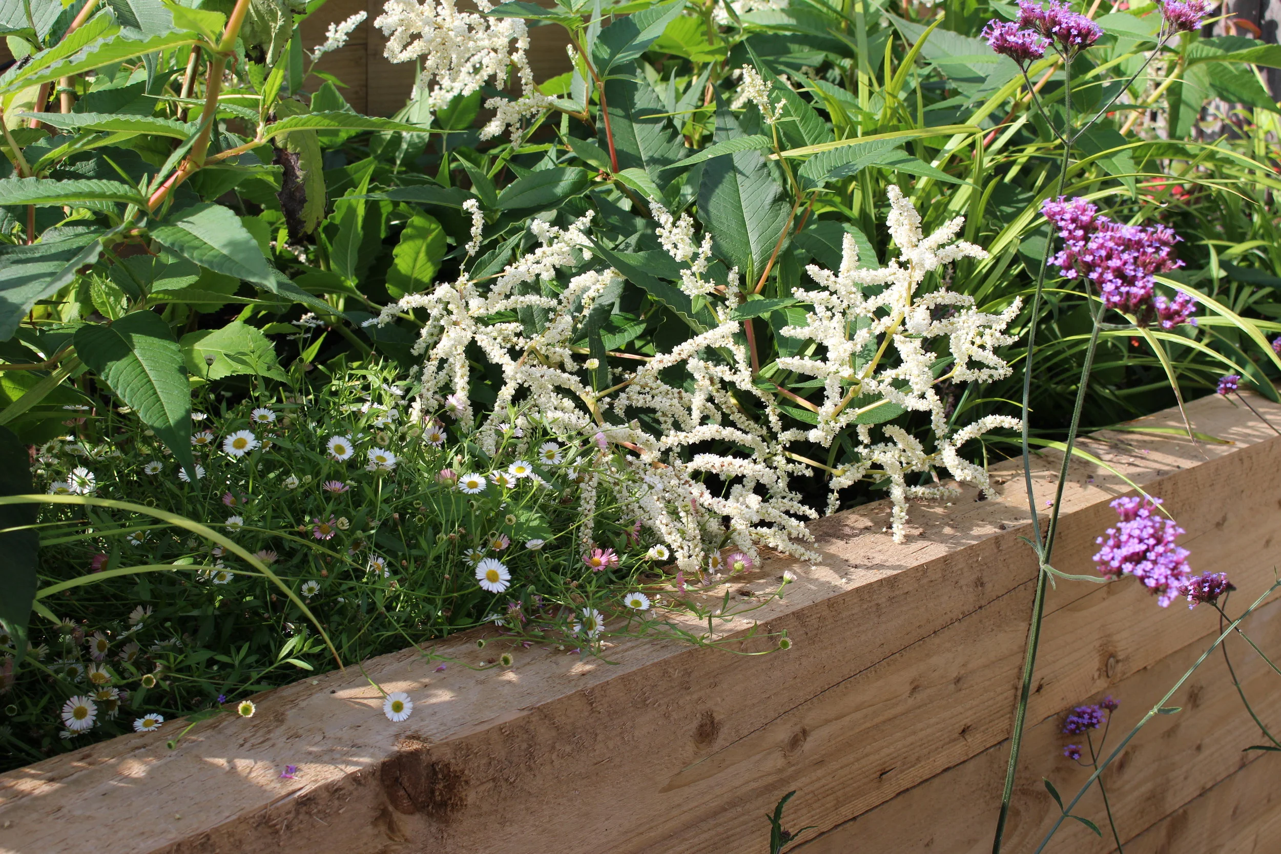 Jen Berry Garden Design