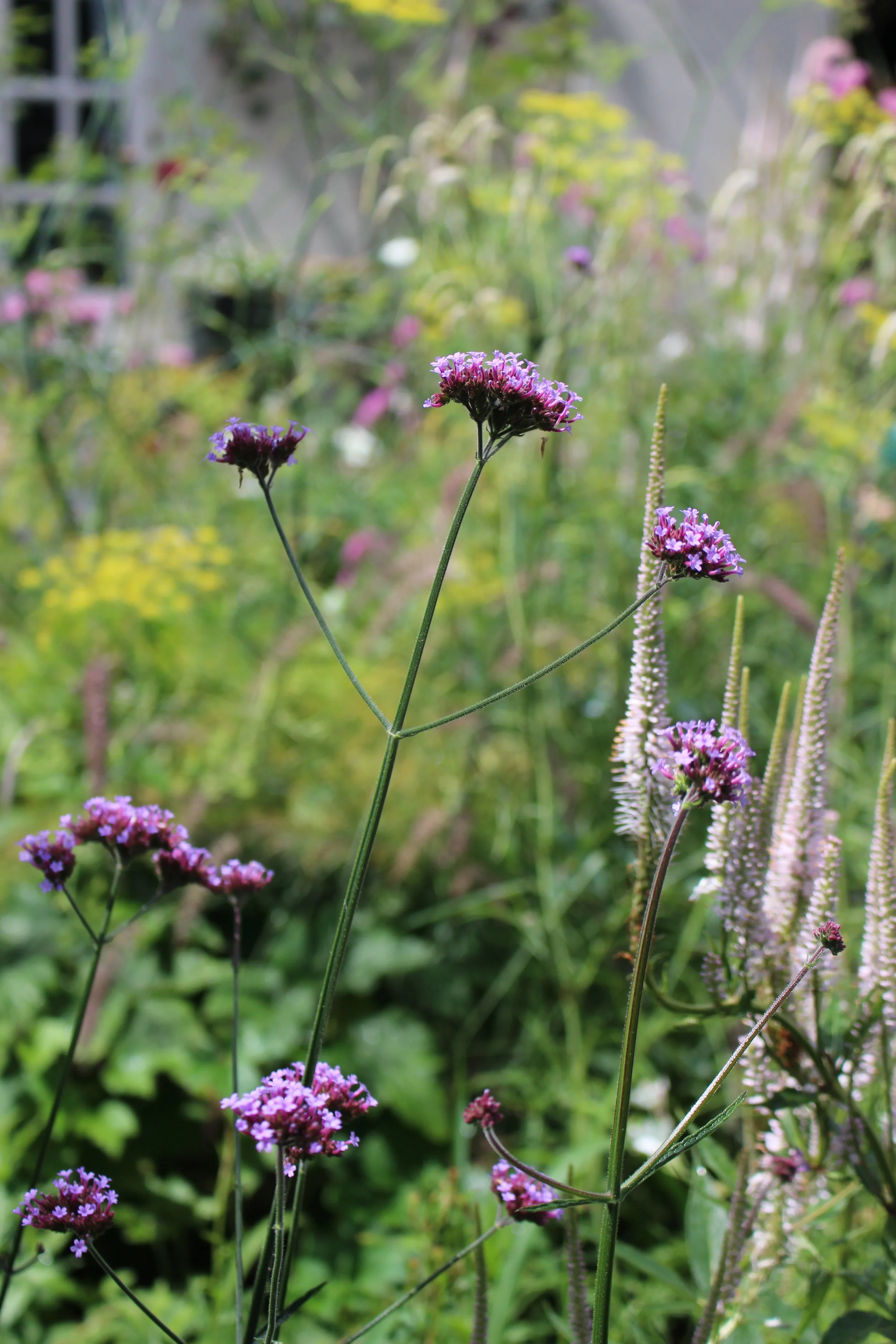 Jen Berry Garden Design