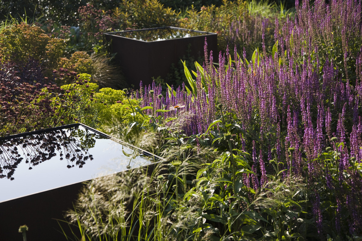 gallery_high_07_Toms_courtyard_AL.jpg