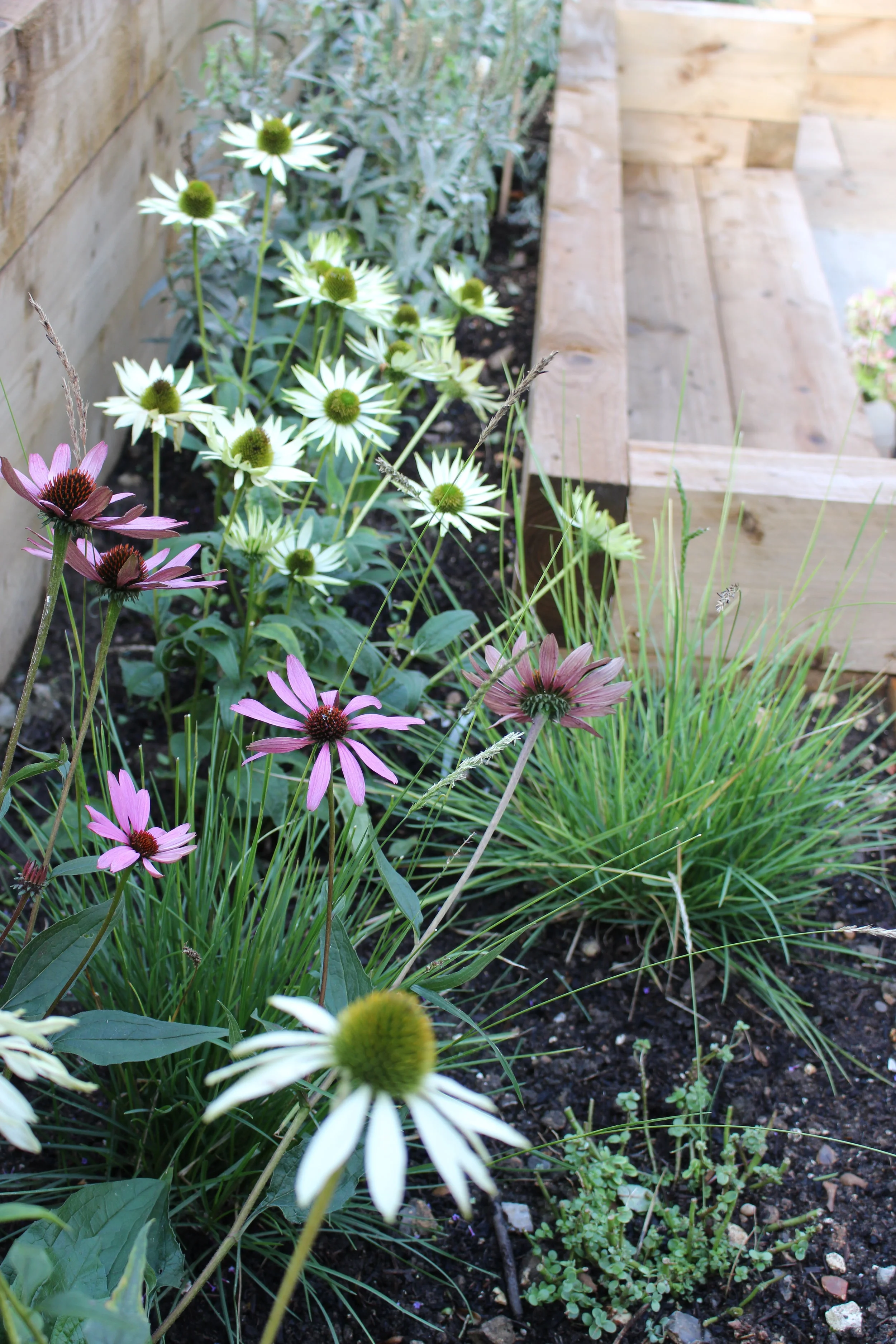 Jen Berry Garden Design