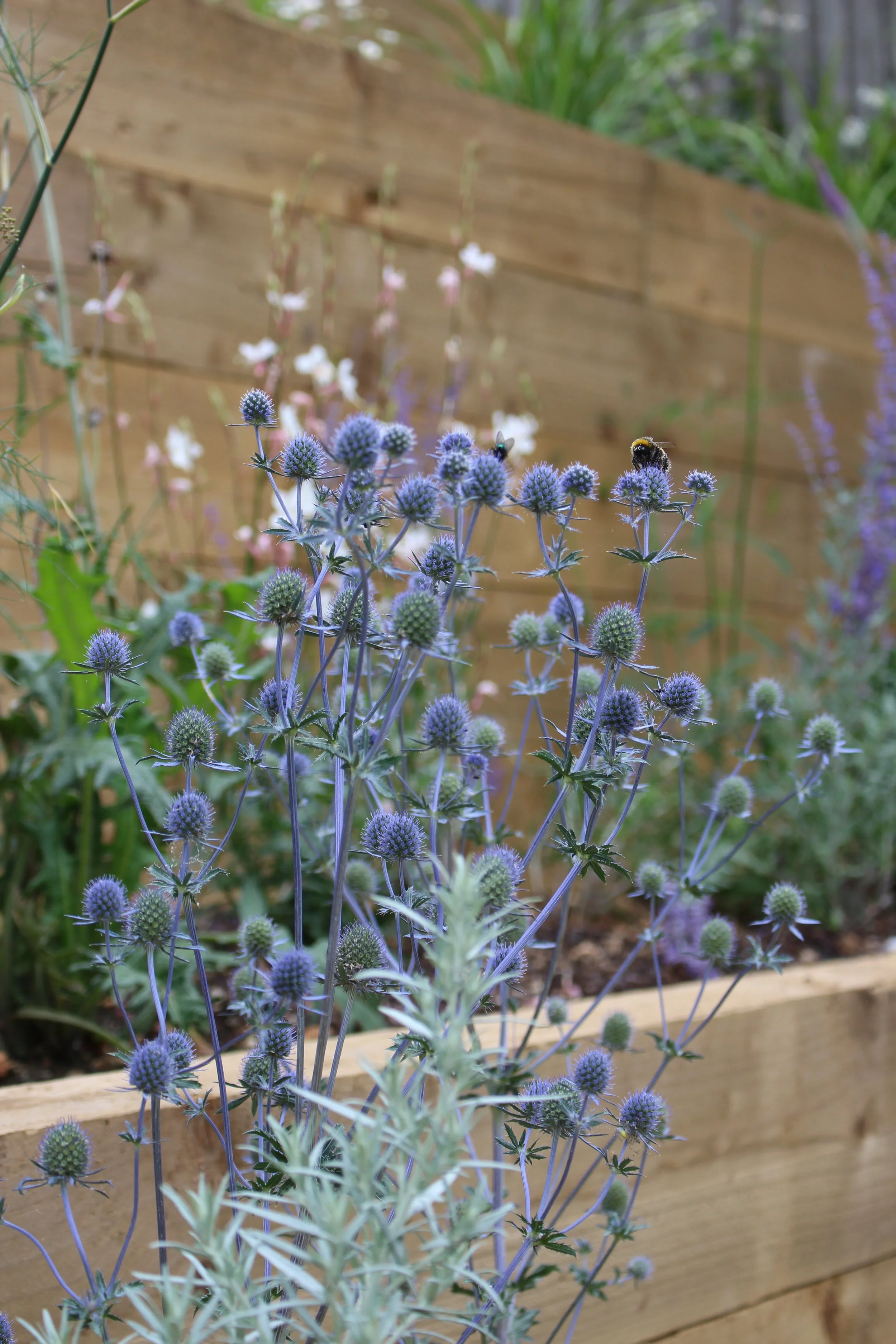 Jen Berry Garden Design