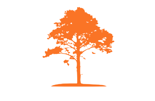 nema tree cookstove.png