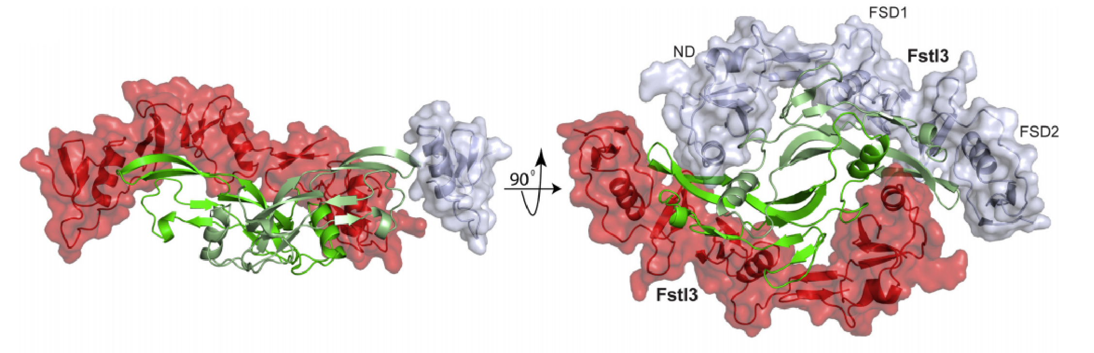 Thompson_Lab_WebSite_Structure_100.png