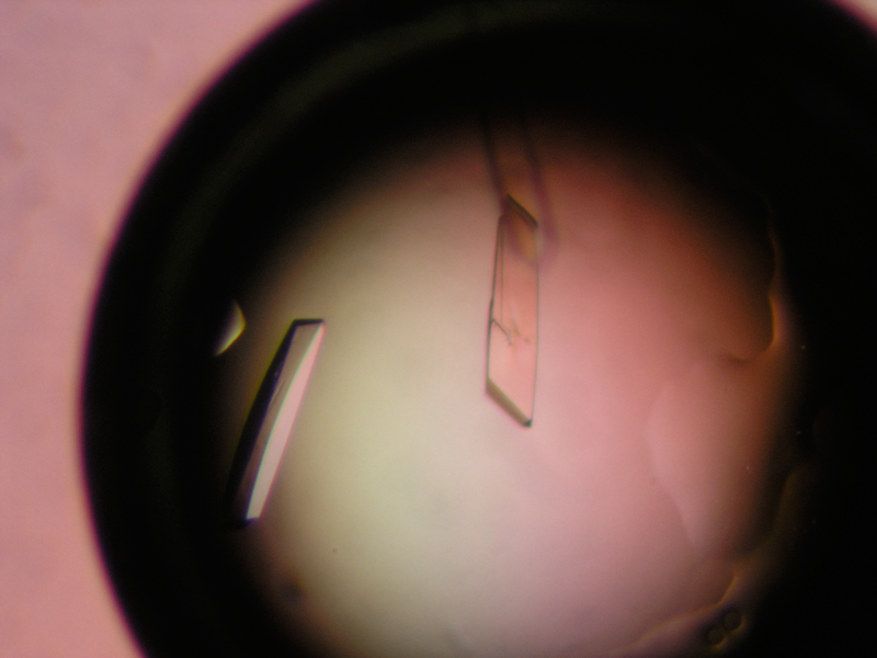 Crystal_6.png