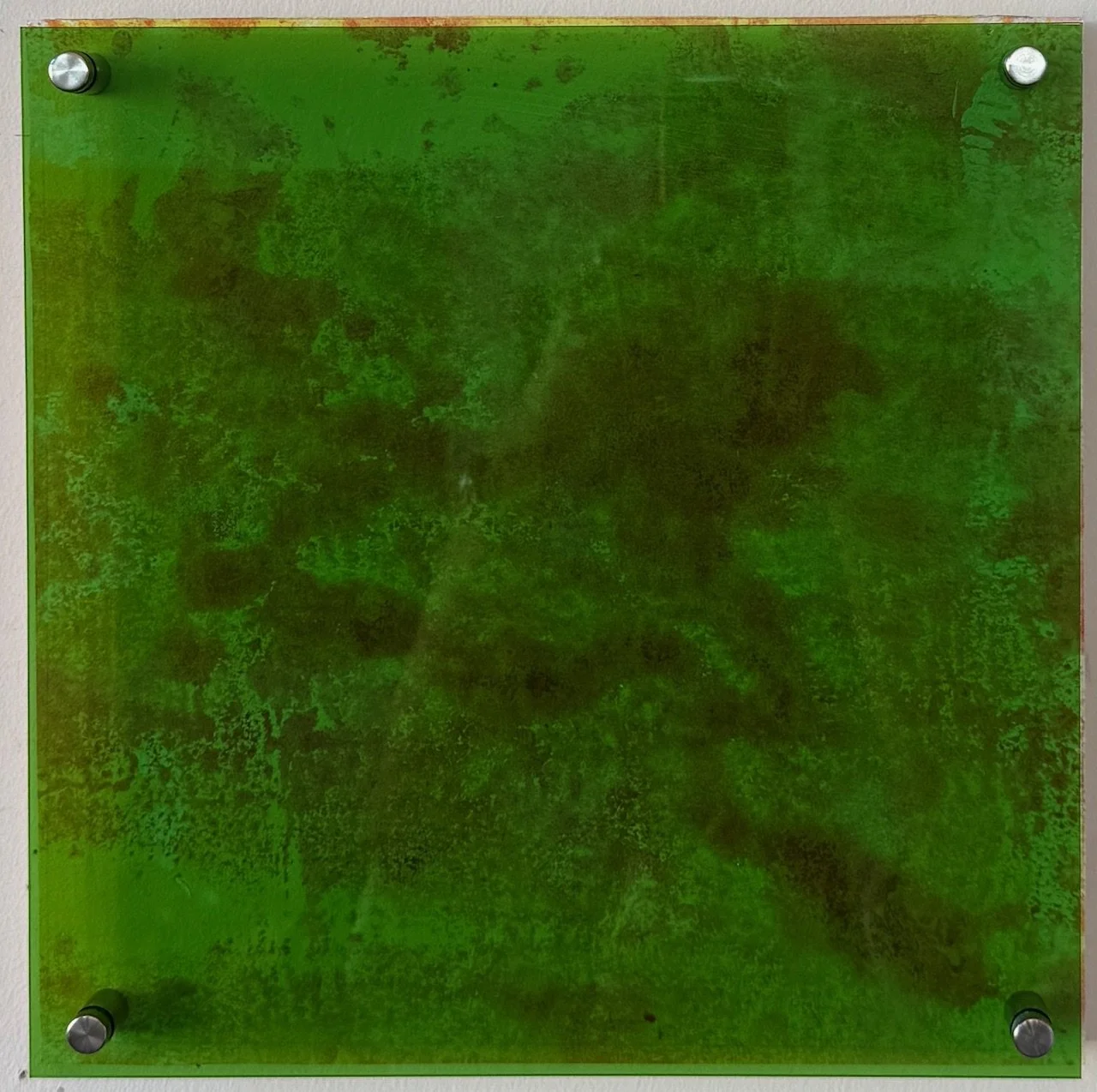 Study (Green), 2025. Oil, paper and acrylic sheet on wood.
121ｘ12 in. (30 x 30 cm)