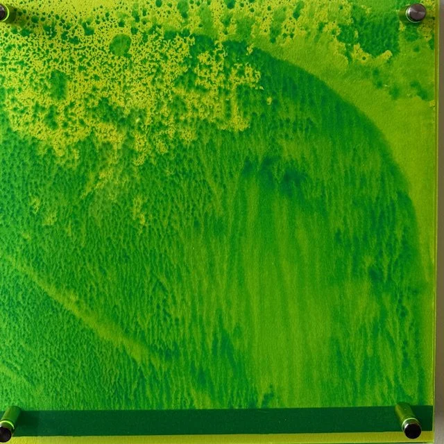 Study (Light Green), 2025. Oil, paper and acrylic sheet on wood.
121ｘ12 in. (30 x 30 cm)